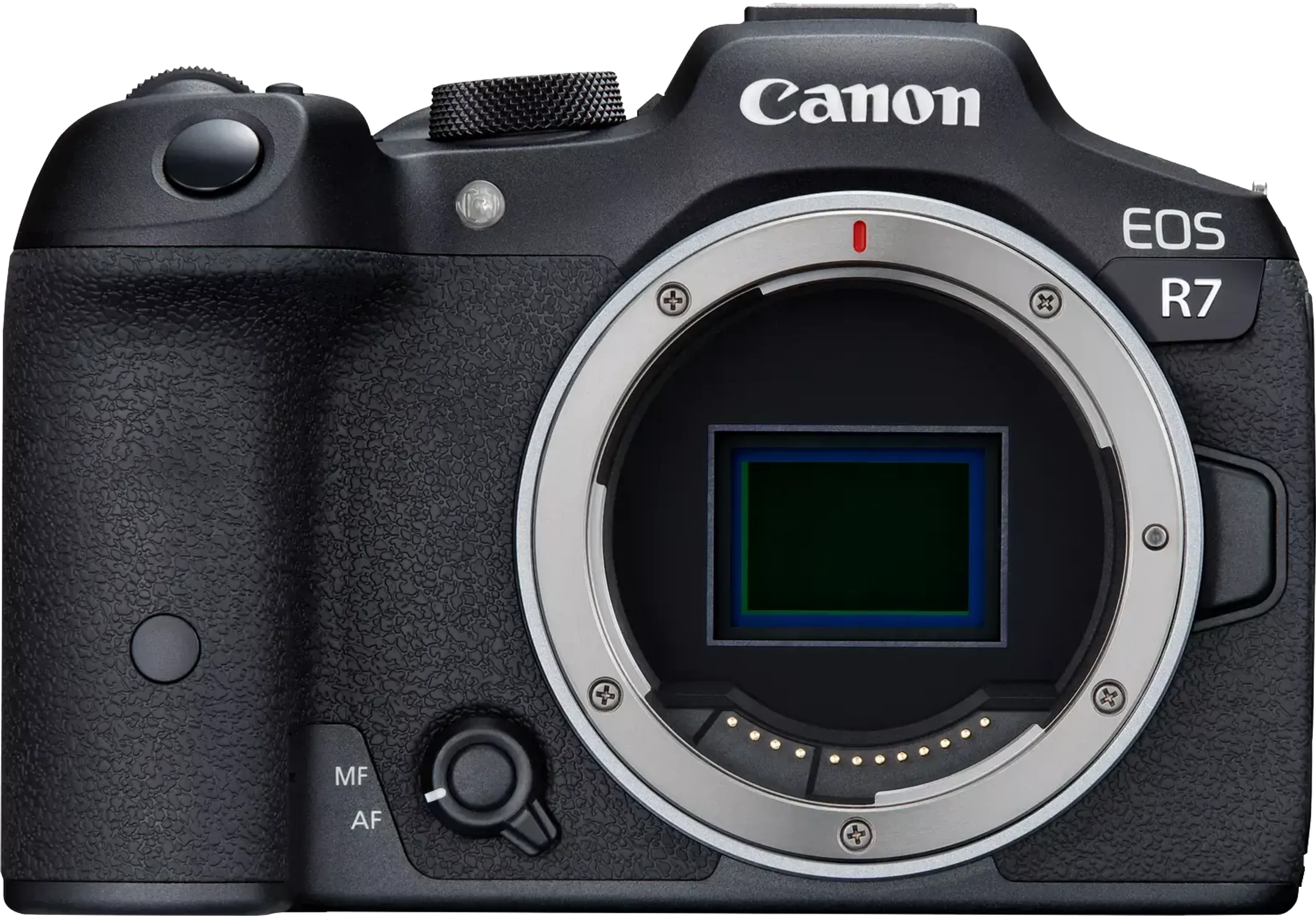 Canon EOS R7 + RF-S 18 - 150 mm f/3.5 - 6.3 IS STM image