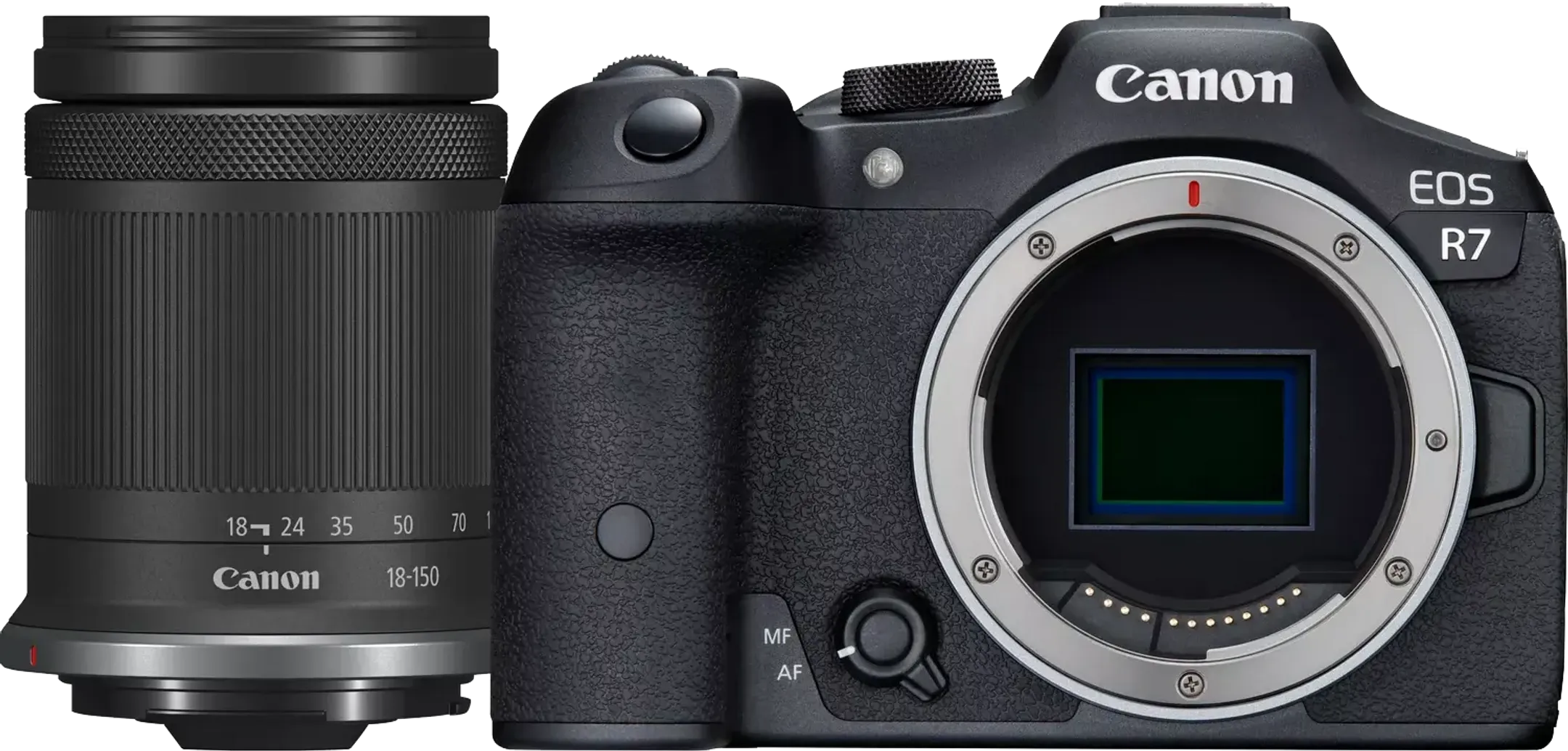 EOS R7 + RF-S 18 - 150 mm f/3.5 - 6.3 IS STM