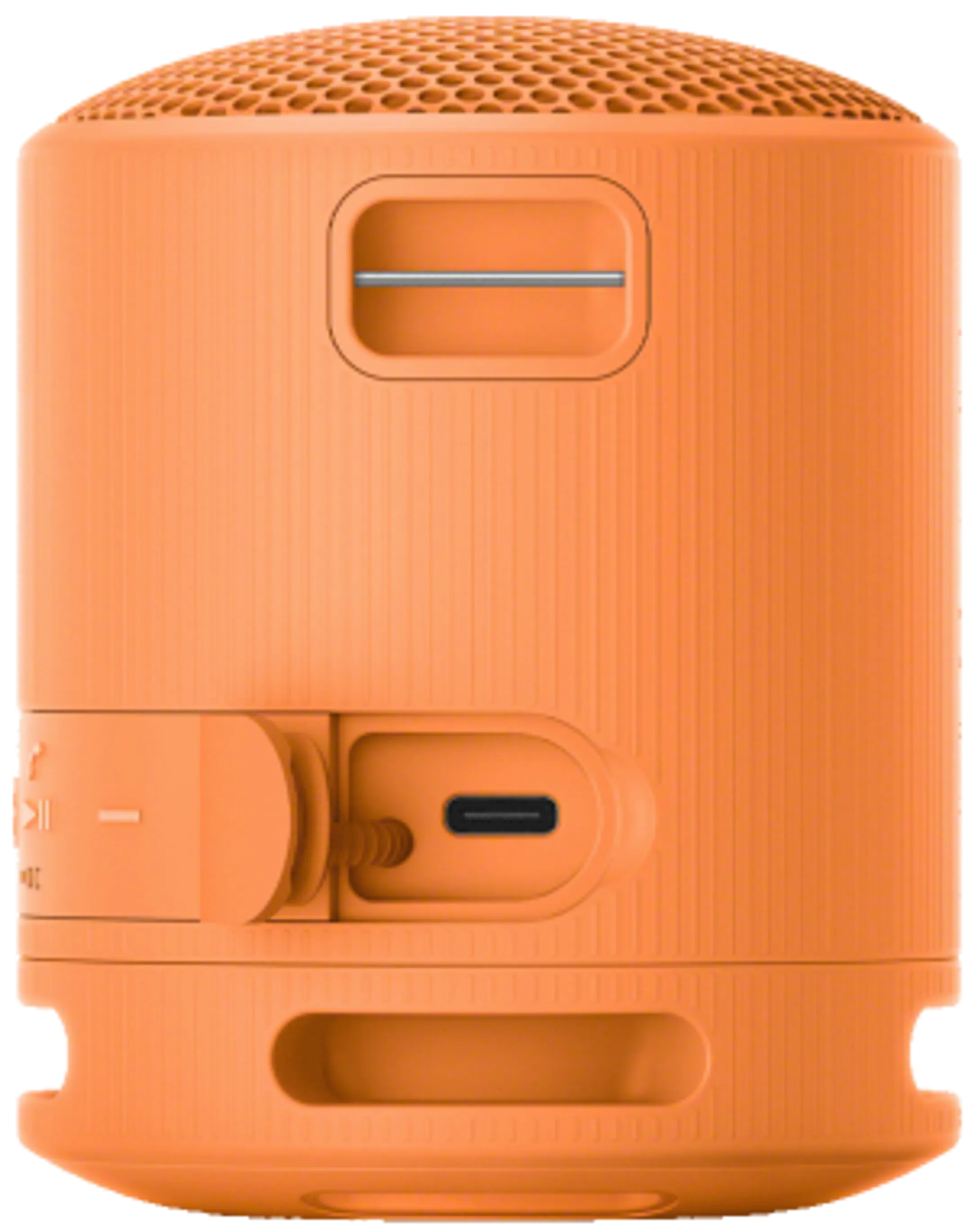 Sony Enceinte Bluetooth SRS-XB100/D - Orange image