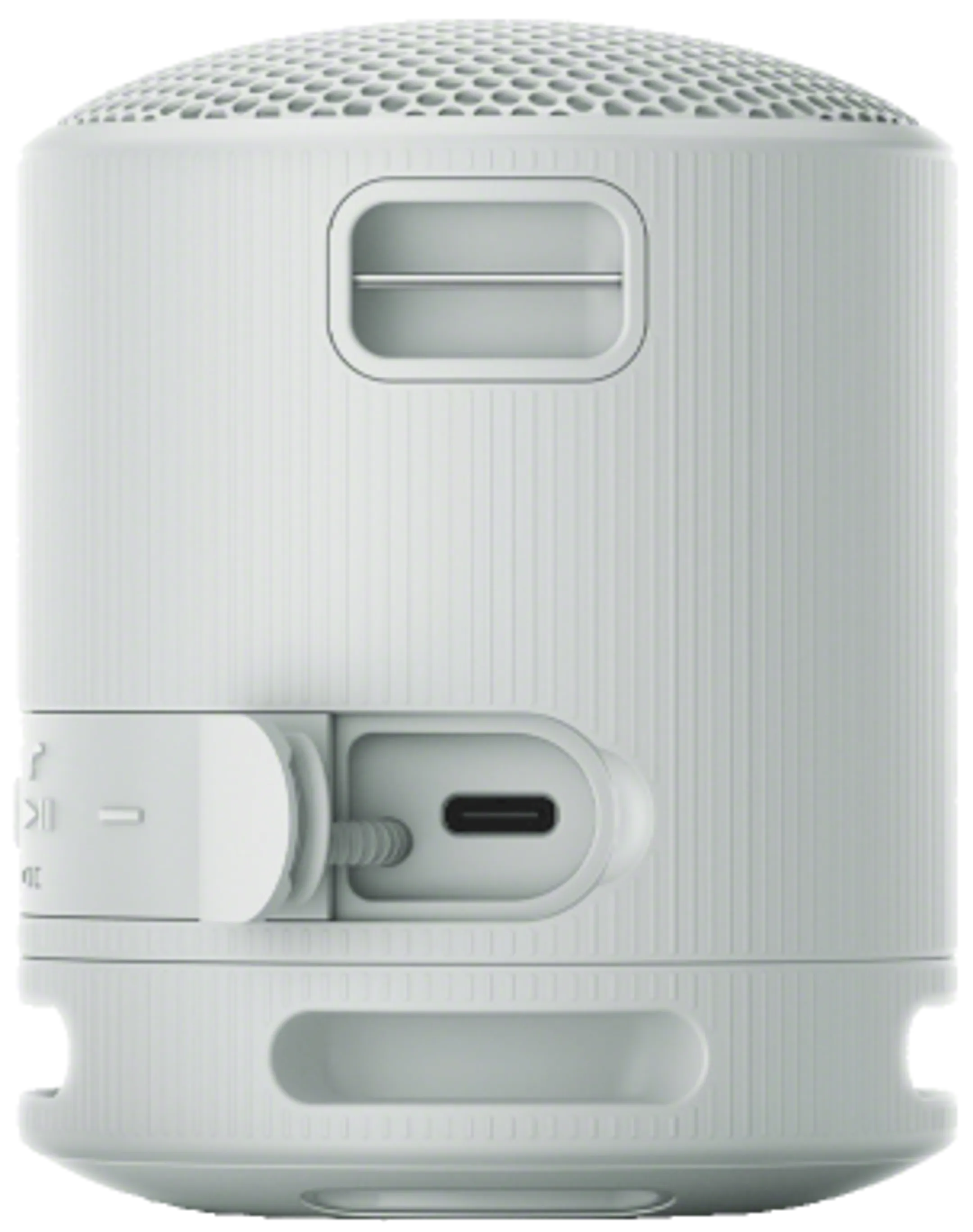 Sony Enceinte Bluetooth SRS-XB100/H - Gris image