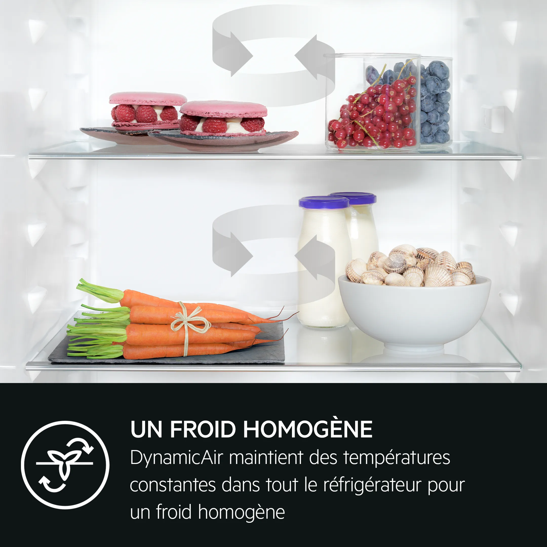 AEG Combi frigo congélateur encastrable OSC5D181ES image