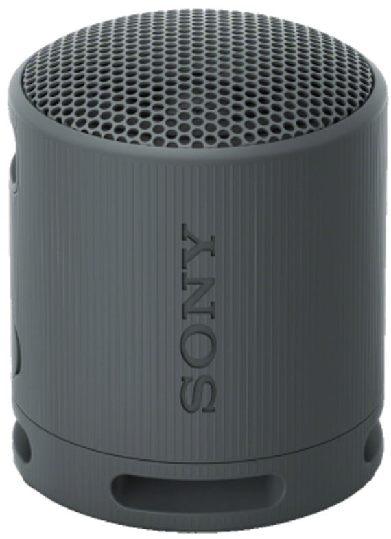 Enceinte Bluetooth SRS-XB100/B - Noir
