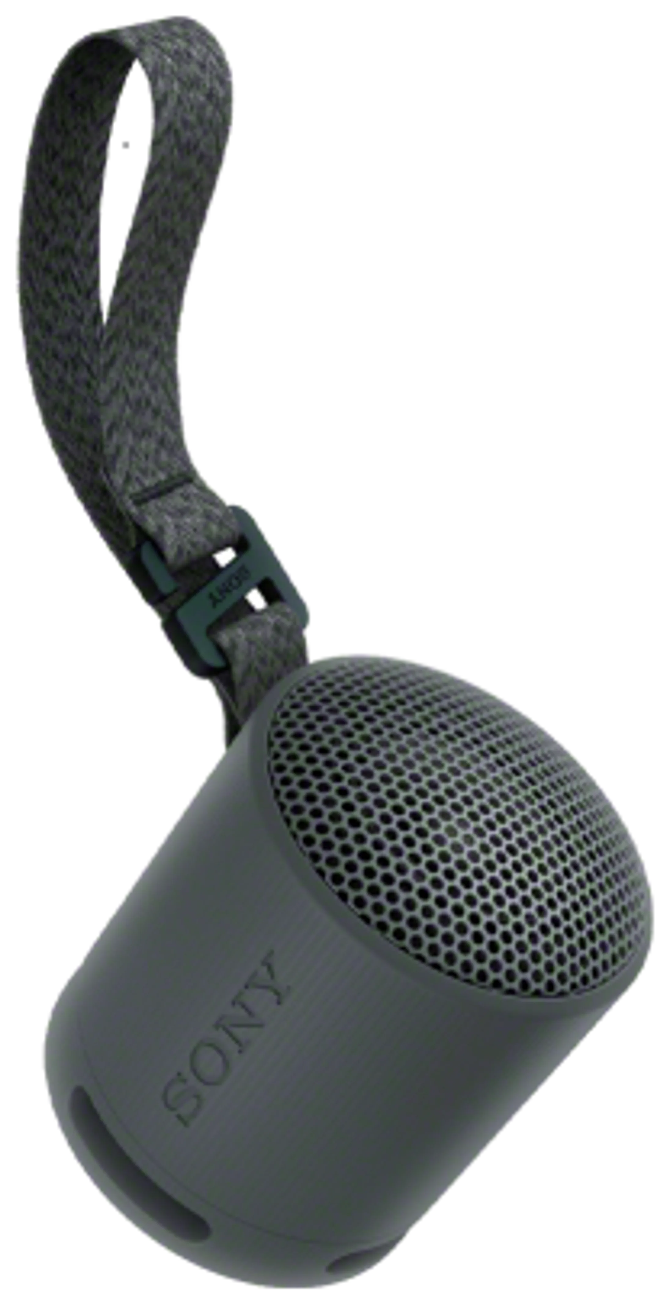 Sony Enceinte Bluetooth SRS-XB100/B - Noir image