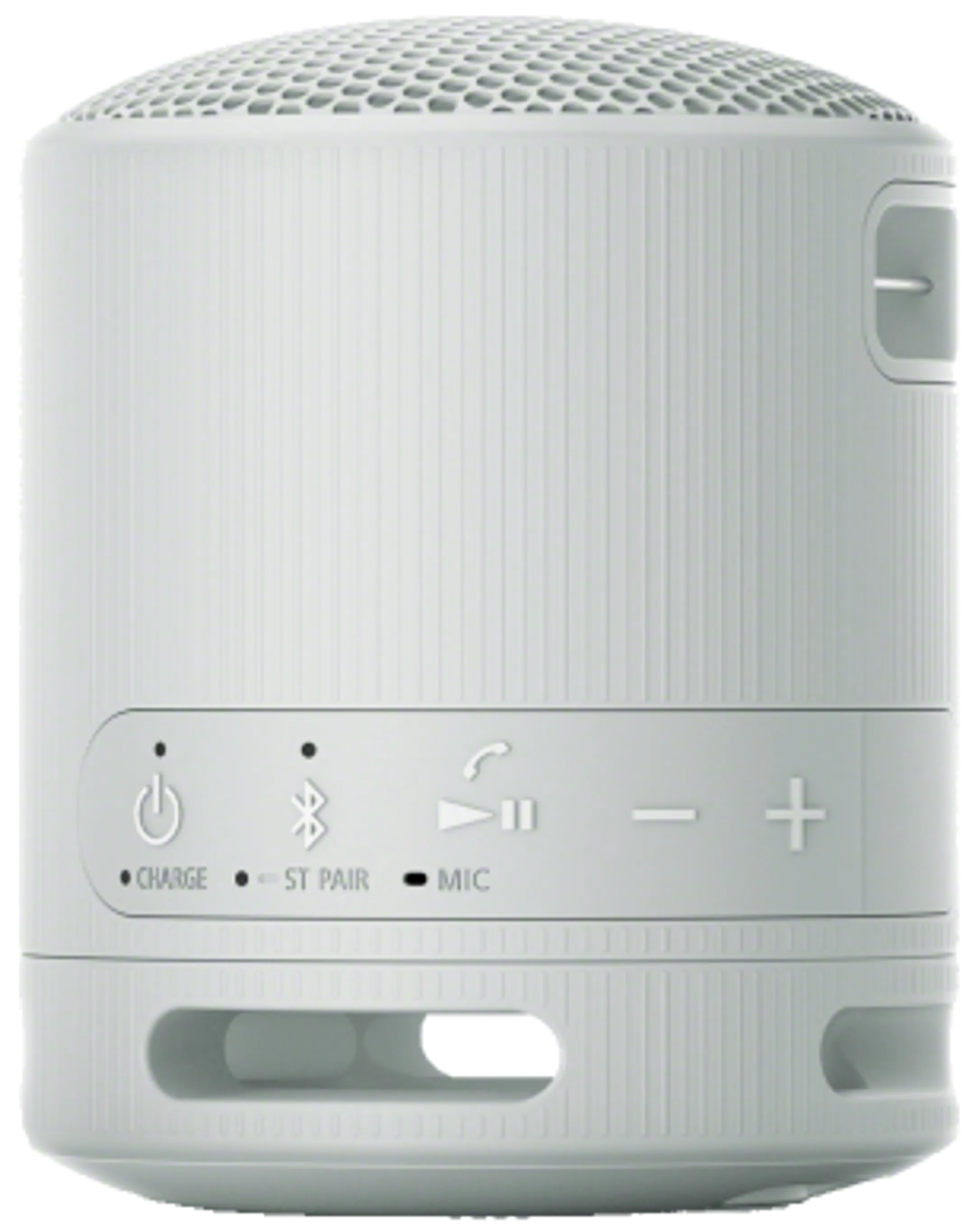 Sony Enceinte Bluetooth SRS-XB100/H - Gris image