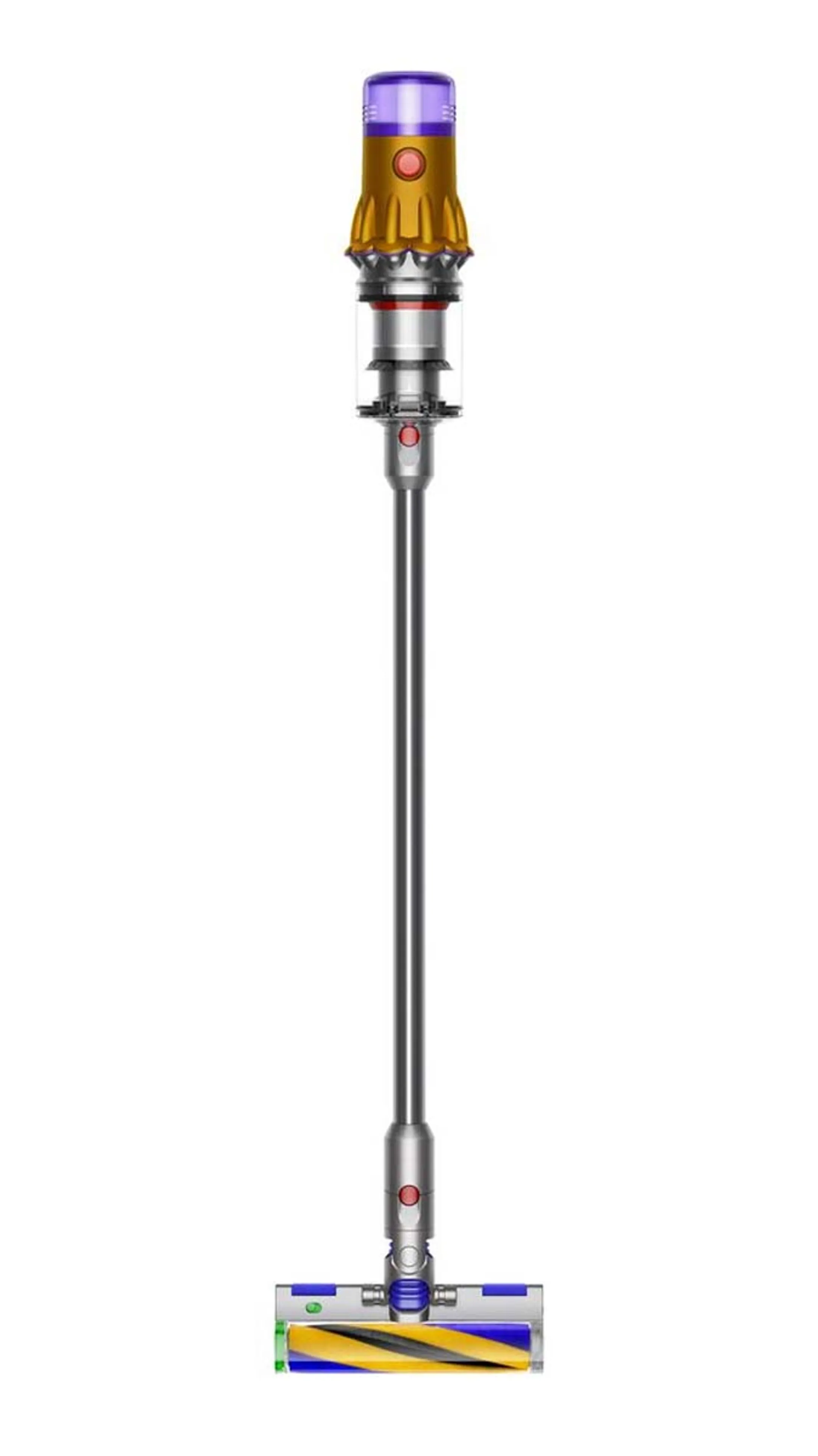 Dyson Steelstofzuiger V12 Detect Slim Absolute image