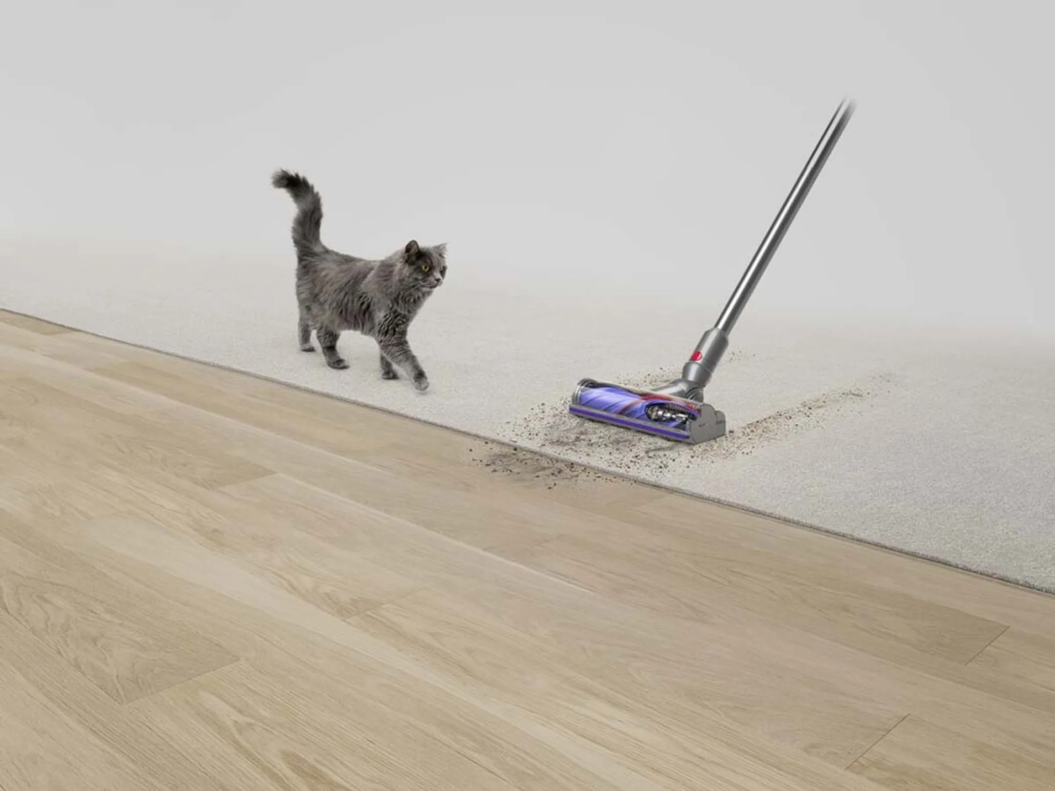Dyson Steelstofzuiger V12 Detect Slim Absolute image