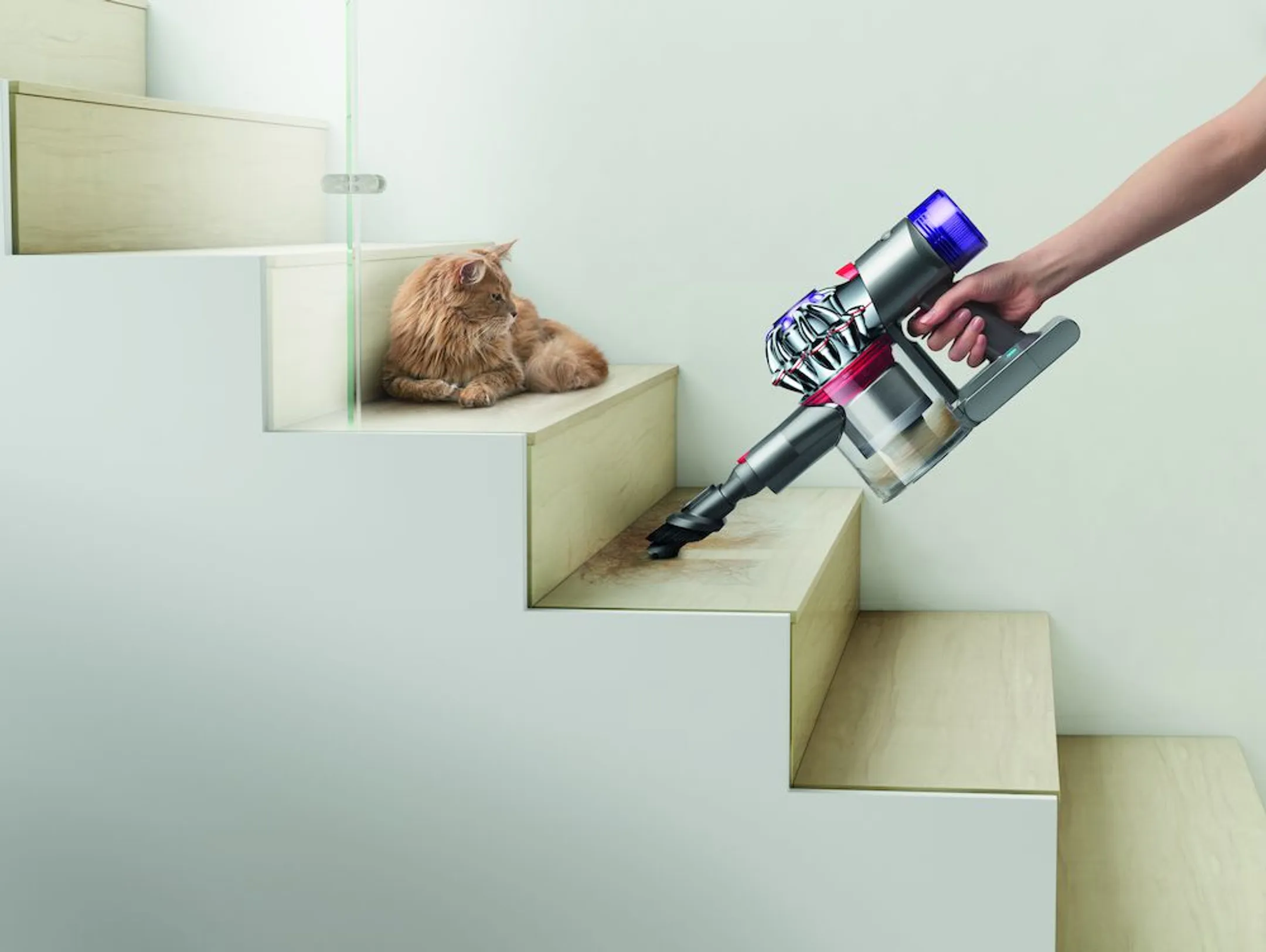Dyson Steelstofzuiger V8 2023 image