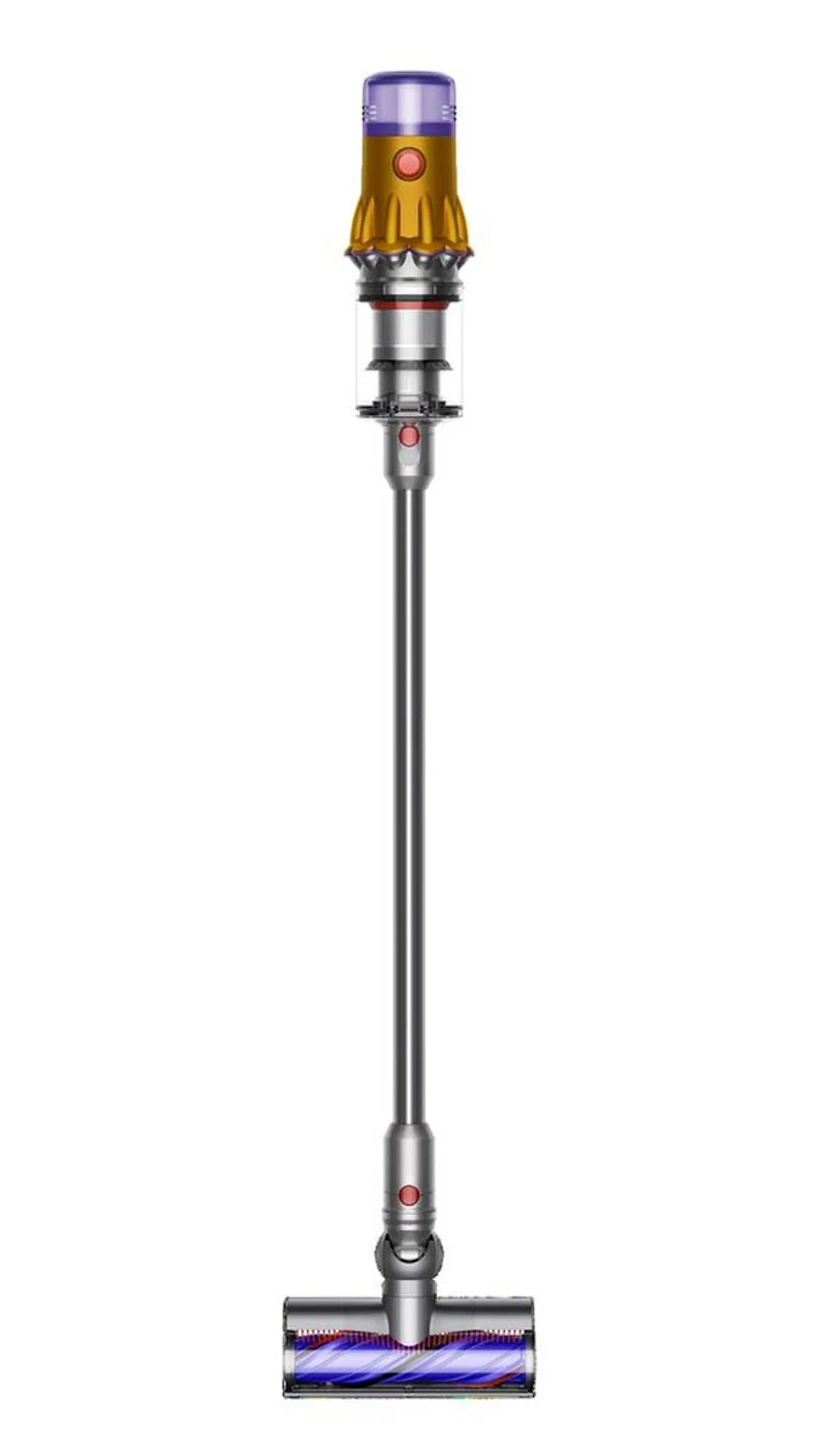 Dyson Steelstofzuiger V12 Detect Slim Absolute image