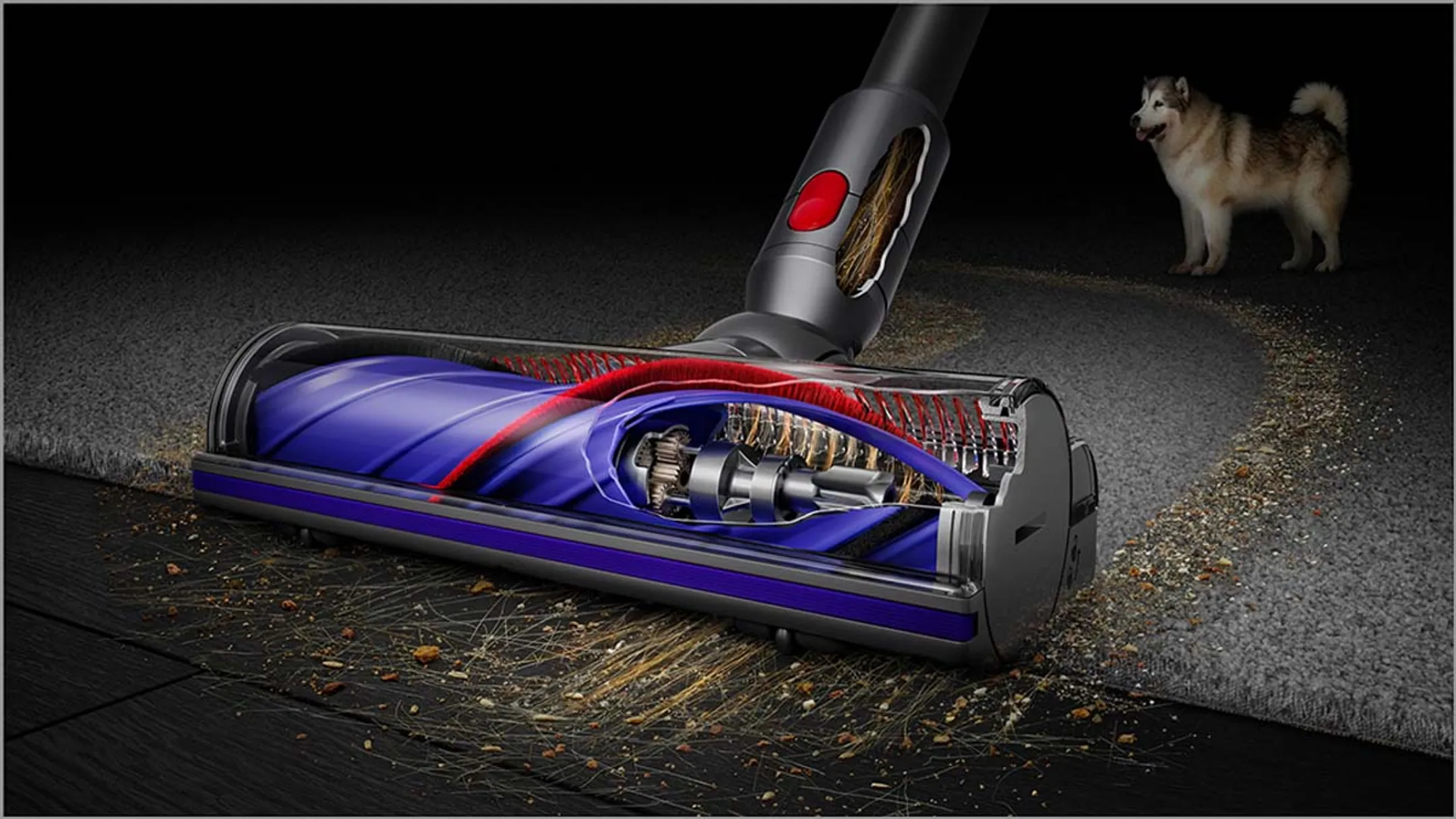 Dyson Steelstofzuiger V12 Detect Slim Absolute image