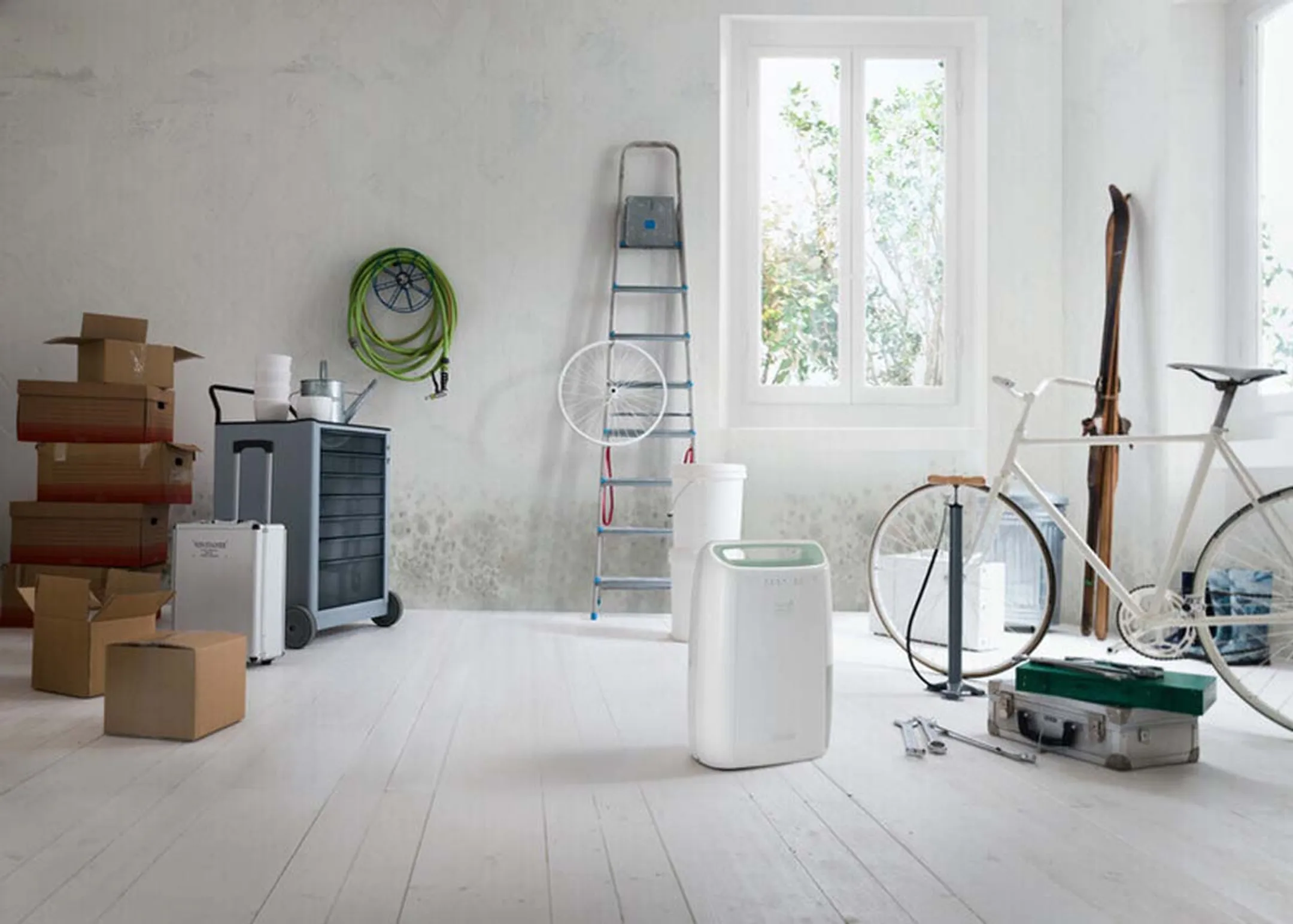 De'Longhi Luchtontvochtiger DEX212SF image