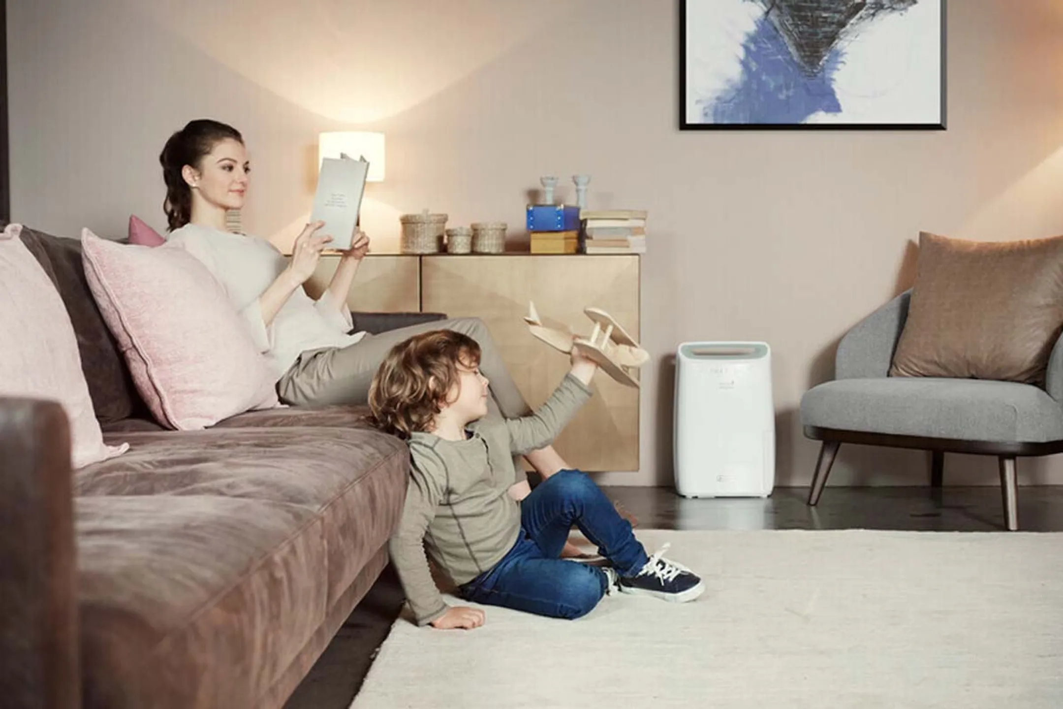 De'Longhi Luchtontvochtiger DEX212SF image