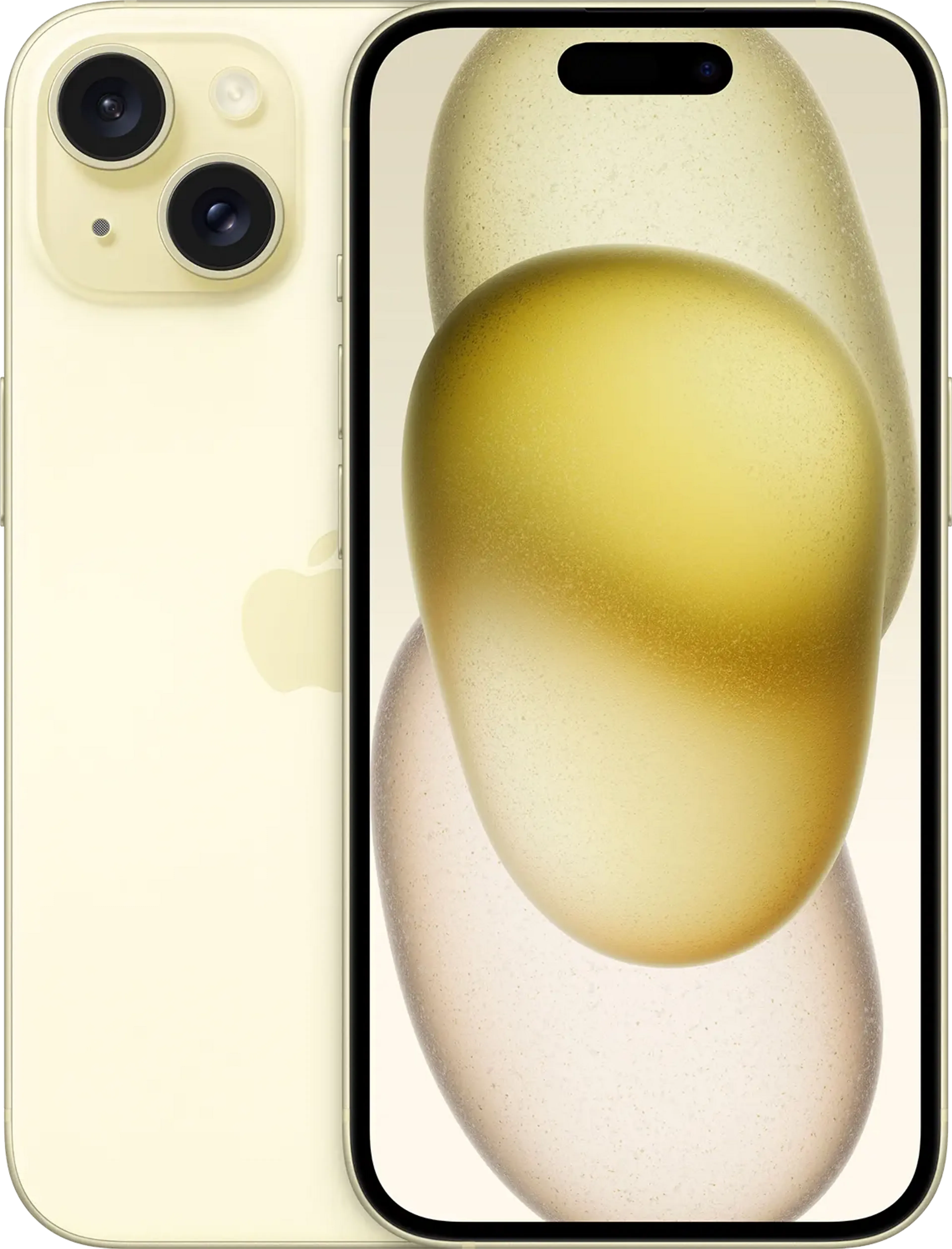 51005927 image