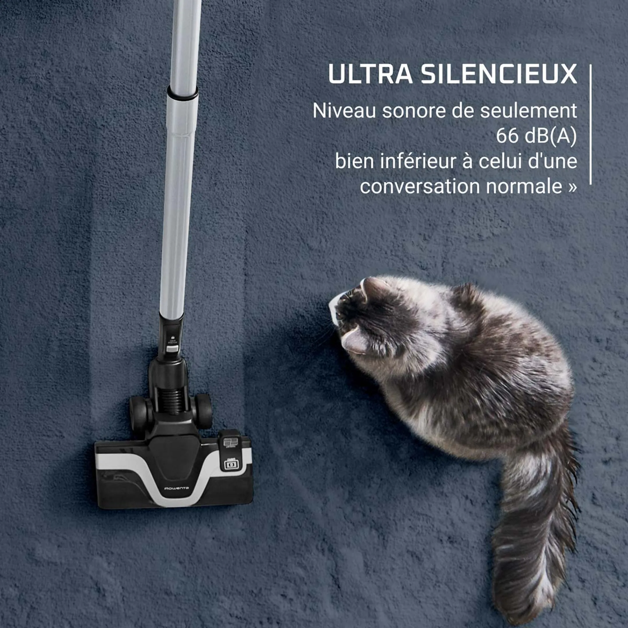 Rowenta Aspirateur sans sac Green Force Effitech+ RO7C71EA image
