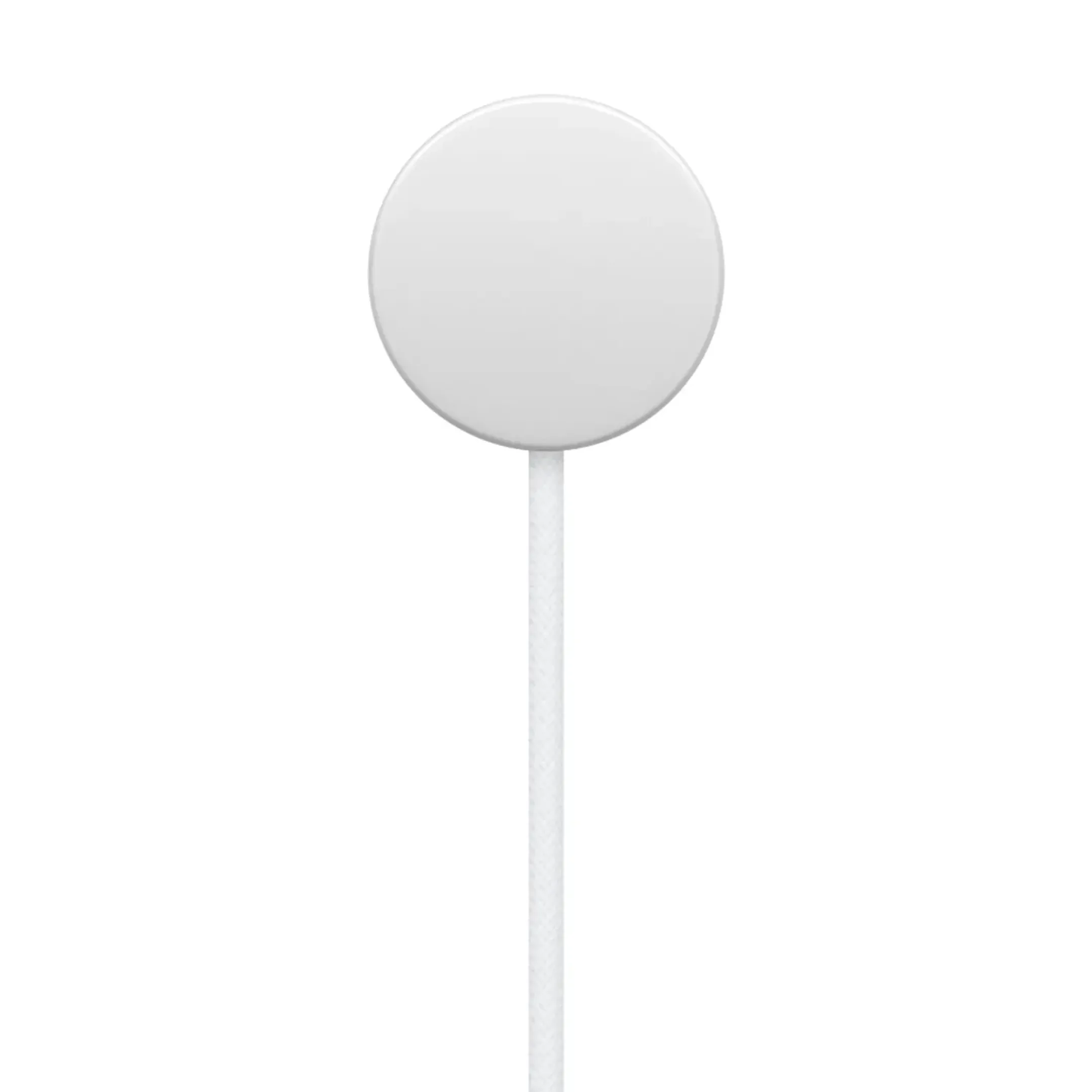 Apple Câble de charge rapide magnétique vers USB‑C pour Apple Watch (1 m) image