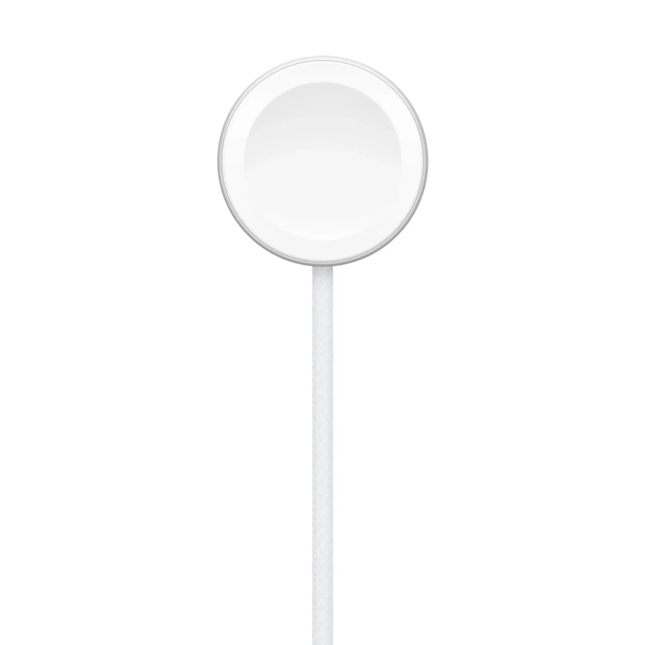 Apple Câble de charge rapide magnétique vers USB‑C pour Apple Watch (1 m) image