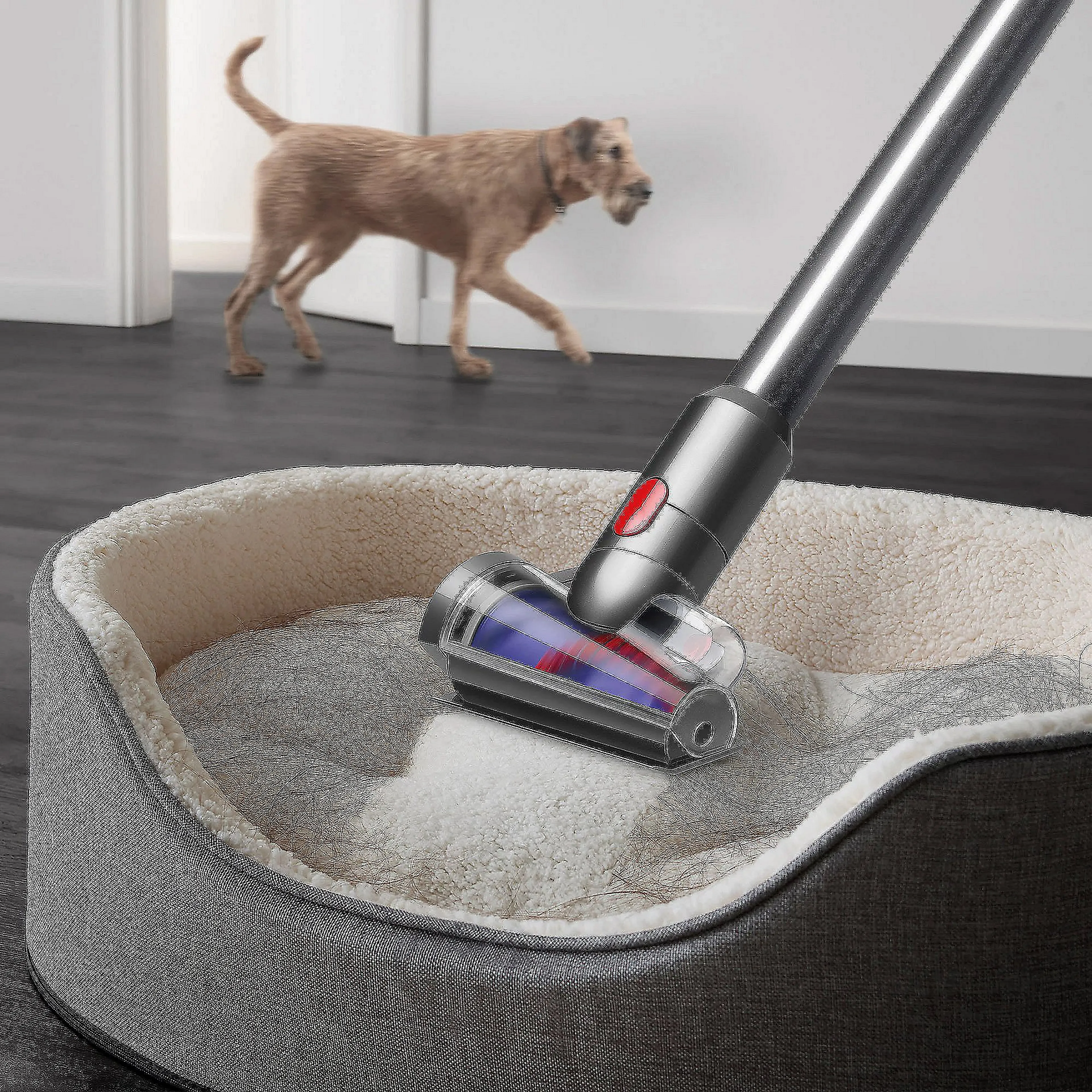 Dyson Aspirateur balai V15 Detect Fluffy image