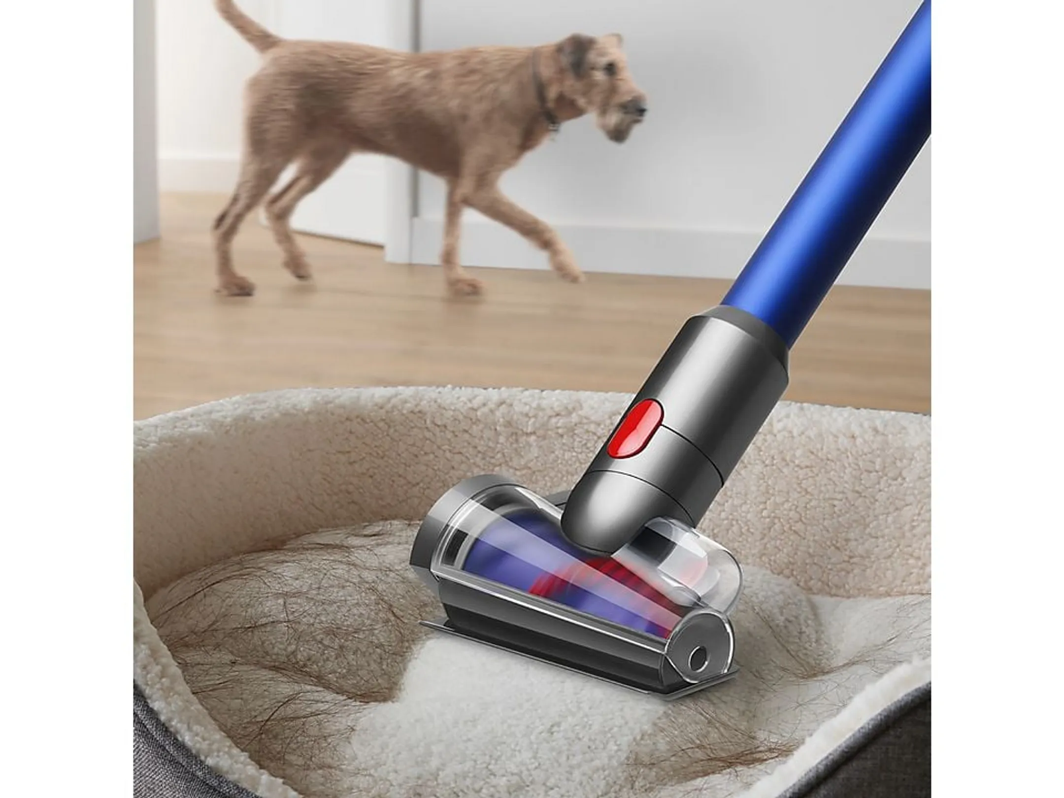 Dyson Mini brosse motorisée auto-démêlante 972213-01 image