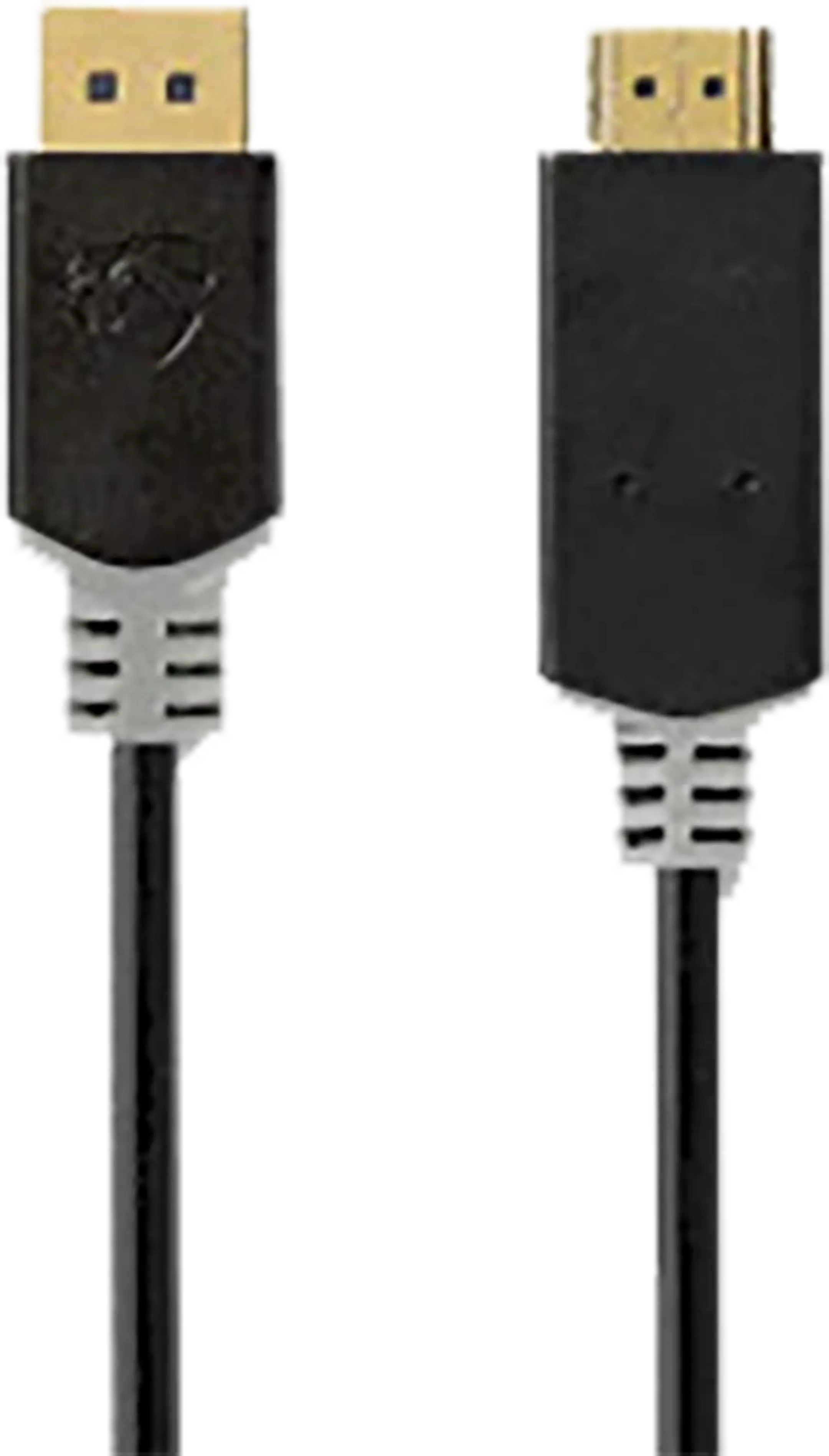 Câble Display Port version 1.2 - 1m