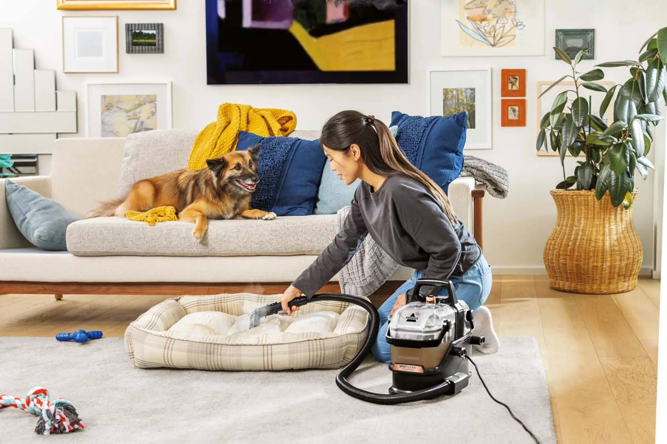 Bissell Nettoyeur de tapis Spotclean Hydrosteam 3700N image
