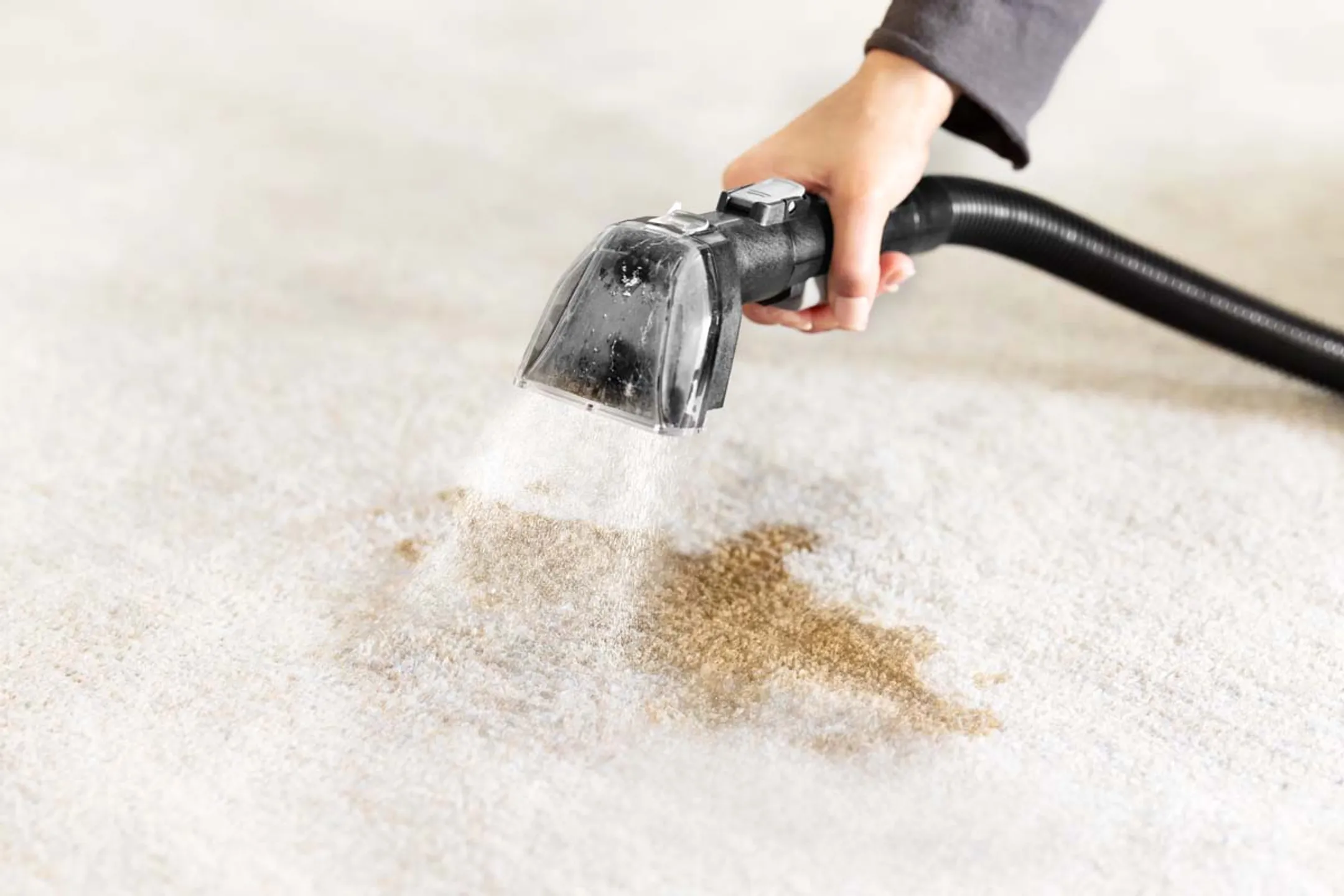 Bissell Nettoyeur de tapis Spotclean Hydrosteam 3700N image