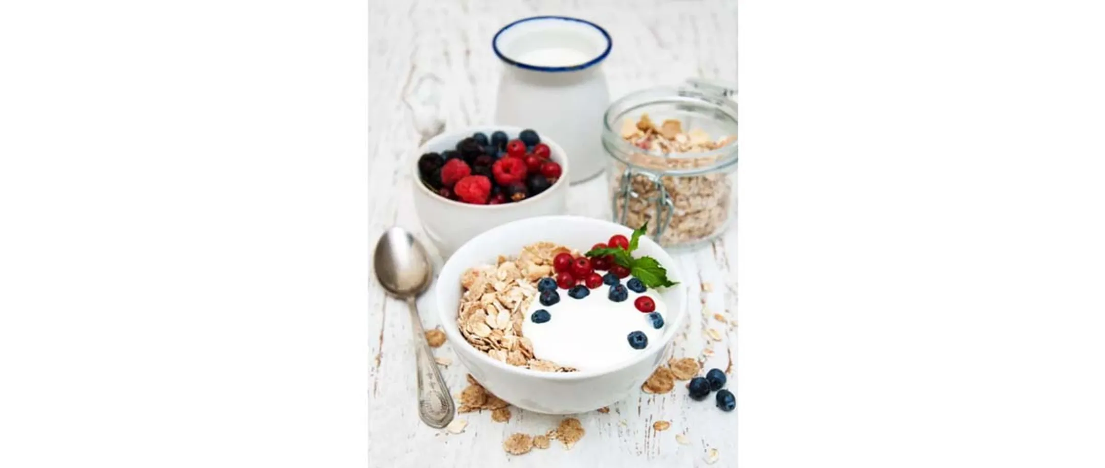 Lagrange Yaourtière 459005 image