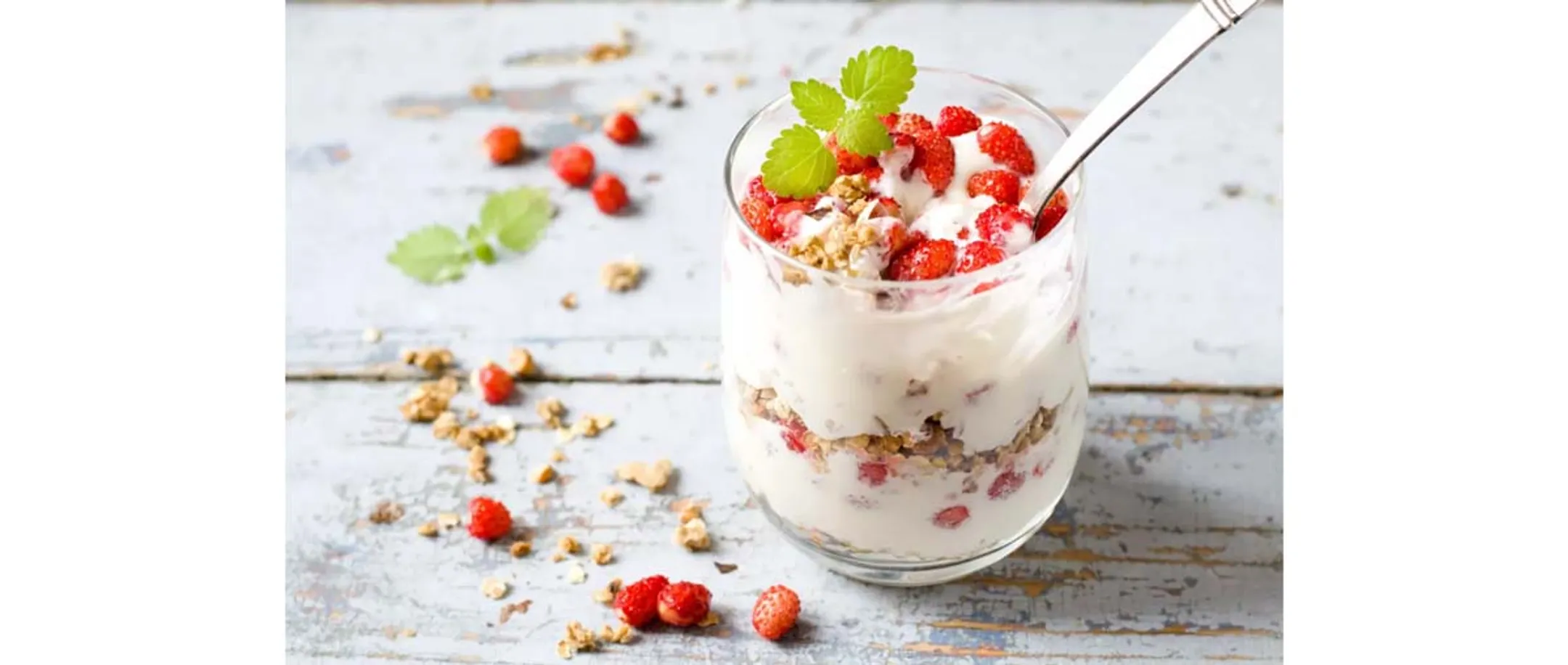 Lagrange Yaourtière 459005 image