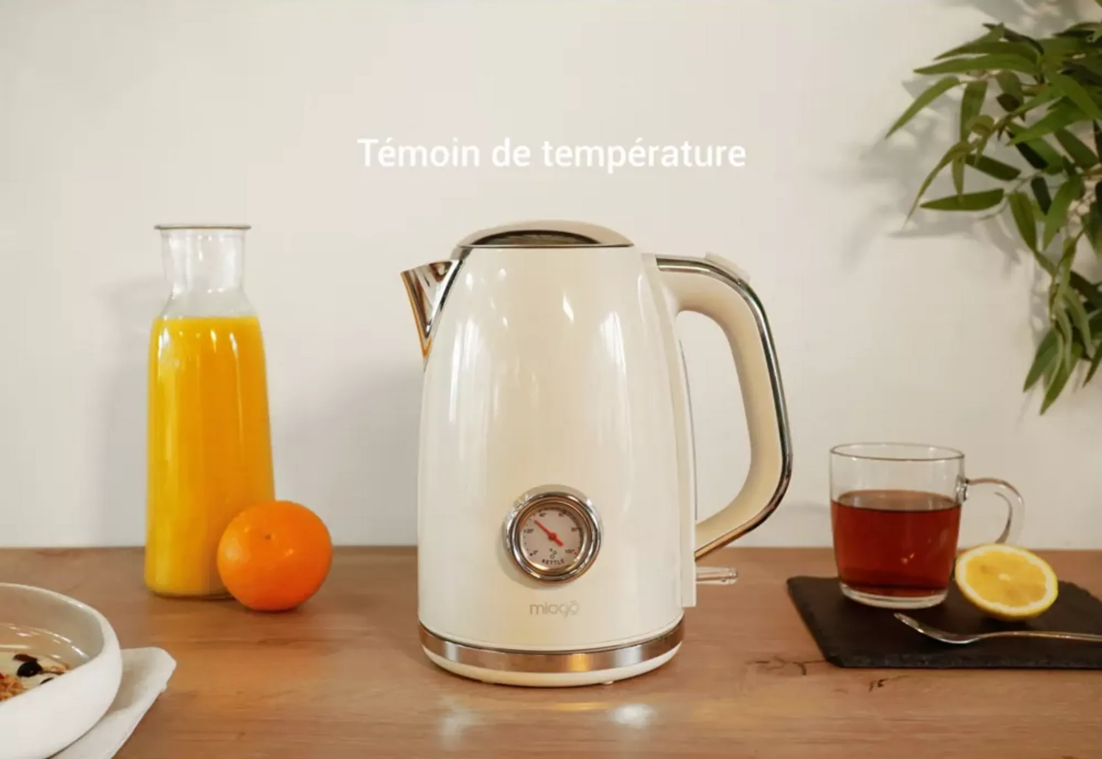 MIOGO Bouilloire MDK1 Daily image