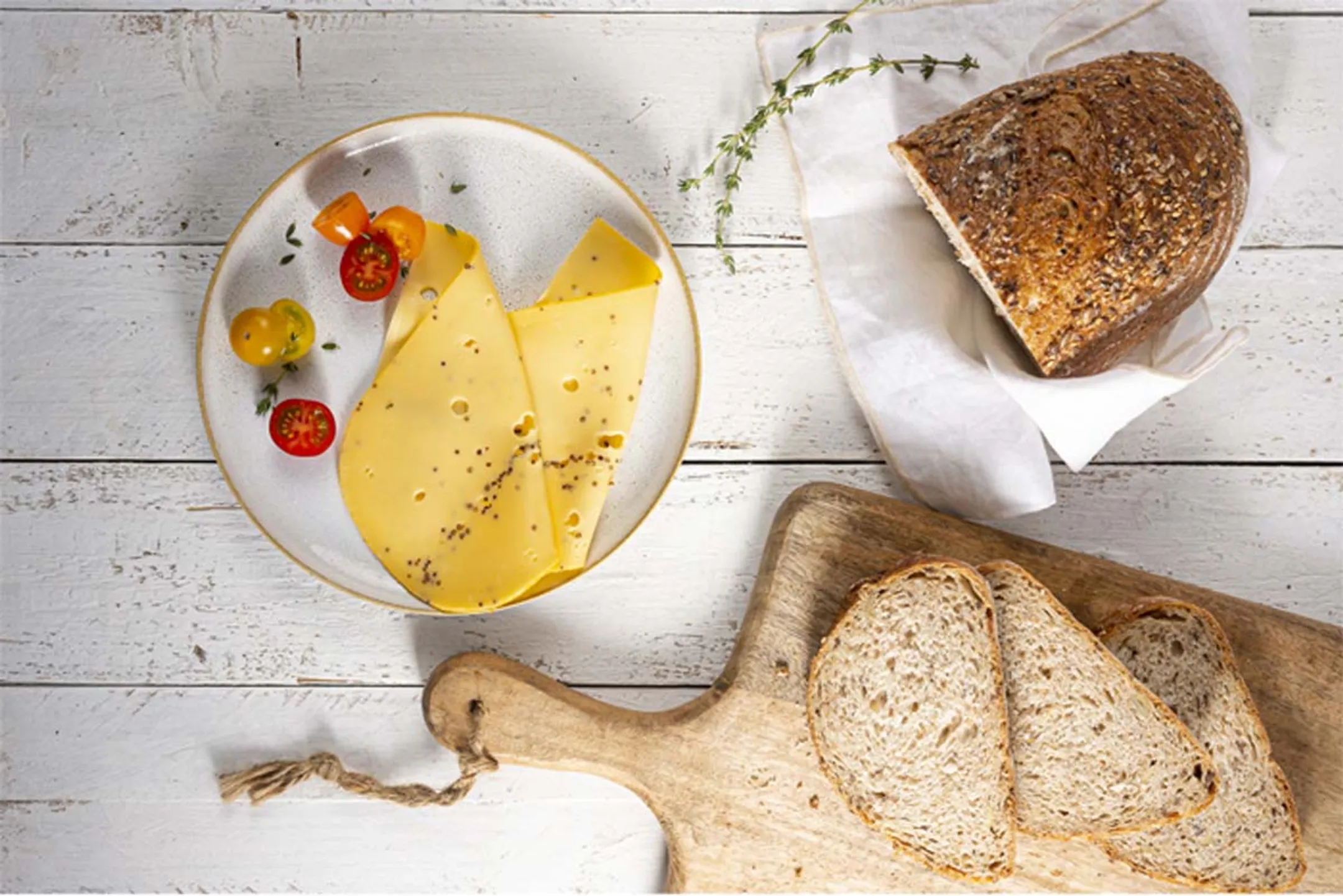 FRITEL Snijmachine SL 3110 image