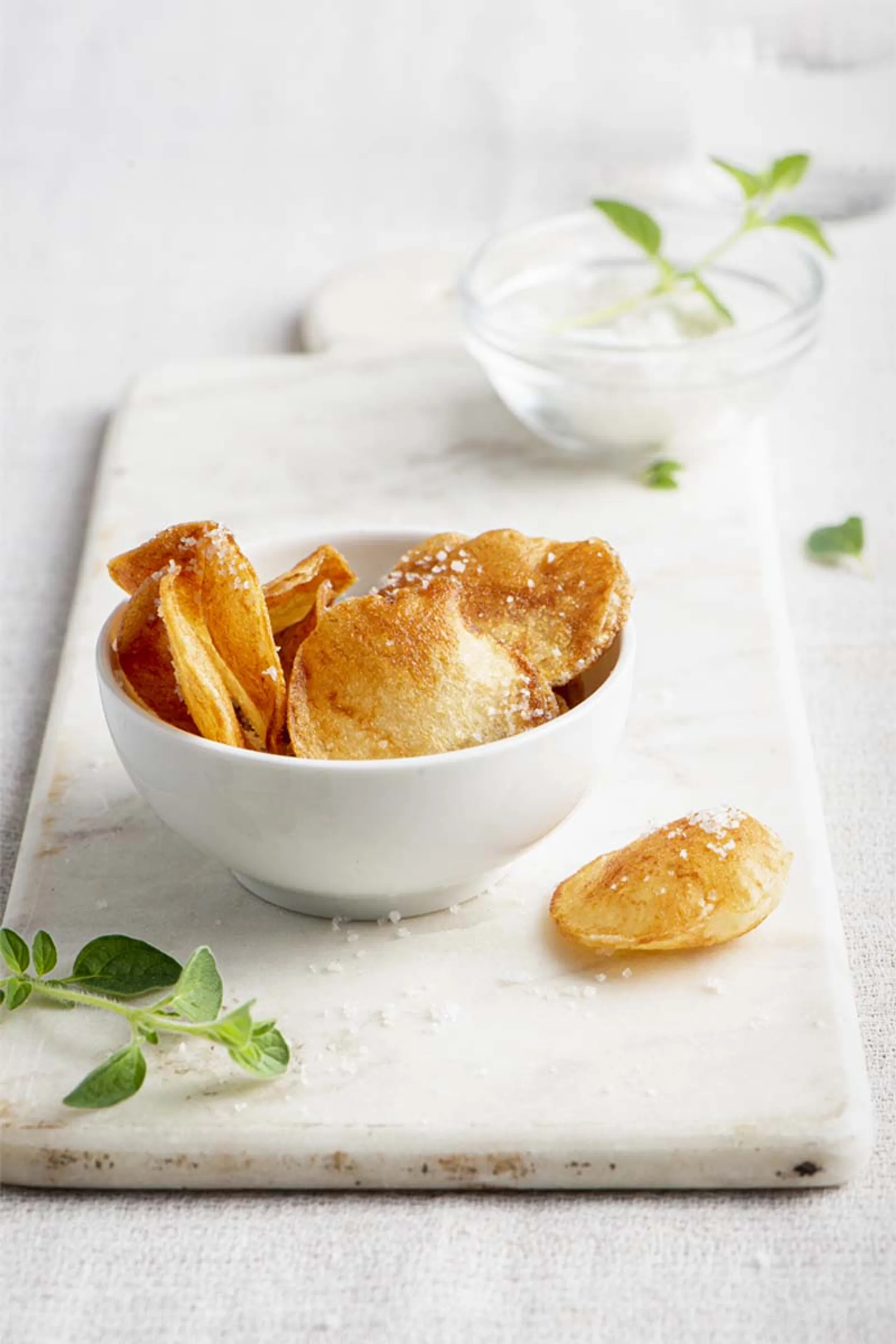 Friteuse Profi 3355 