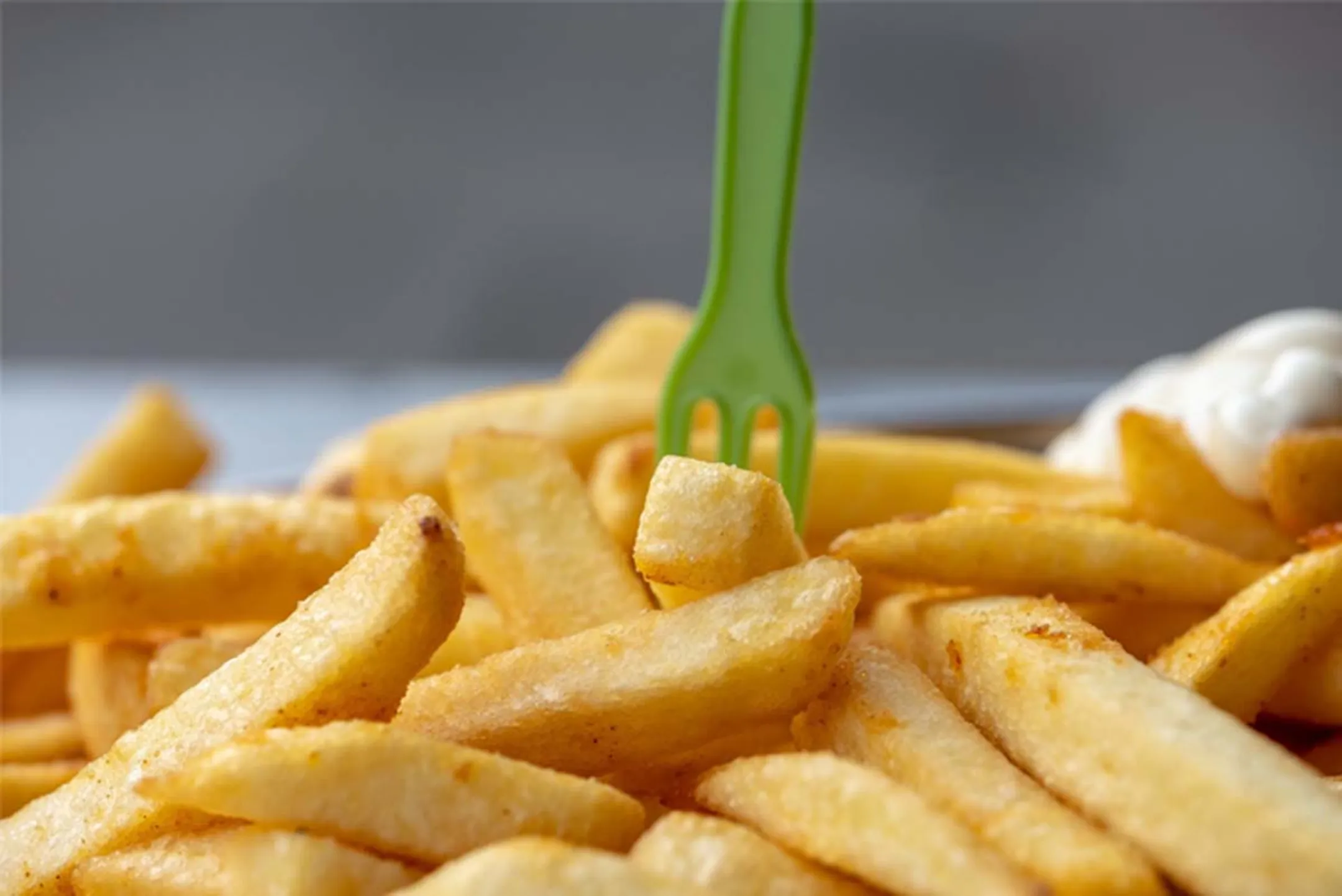 Friteuse Profi 3355 