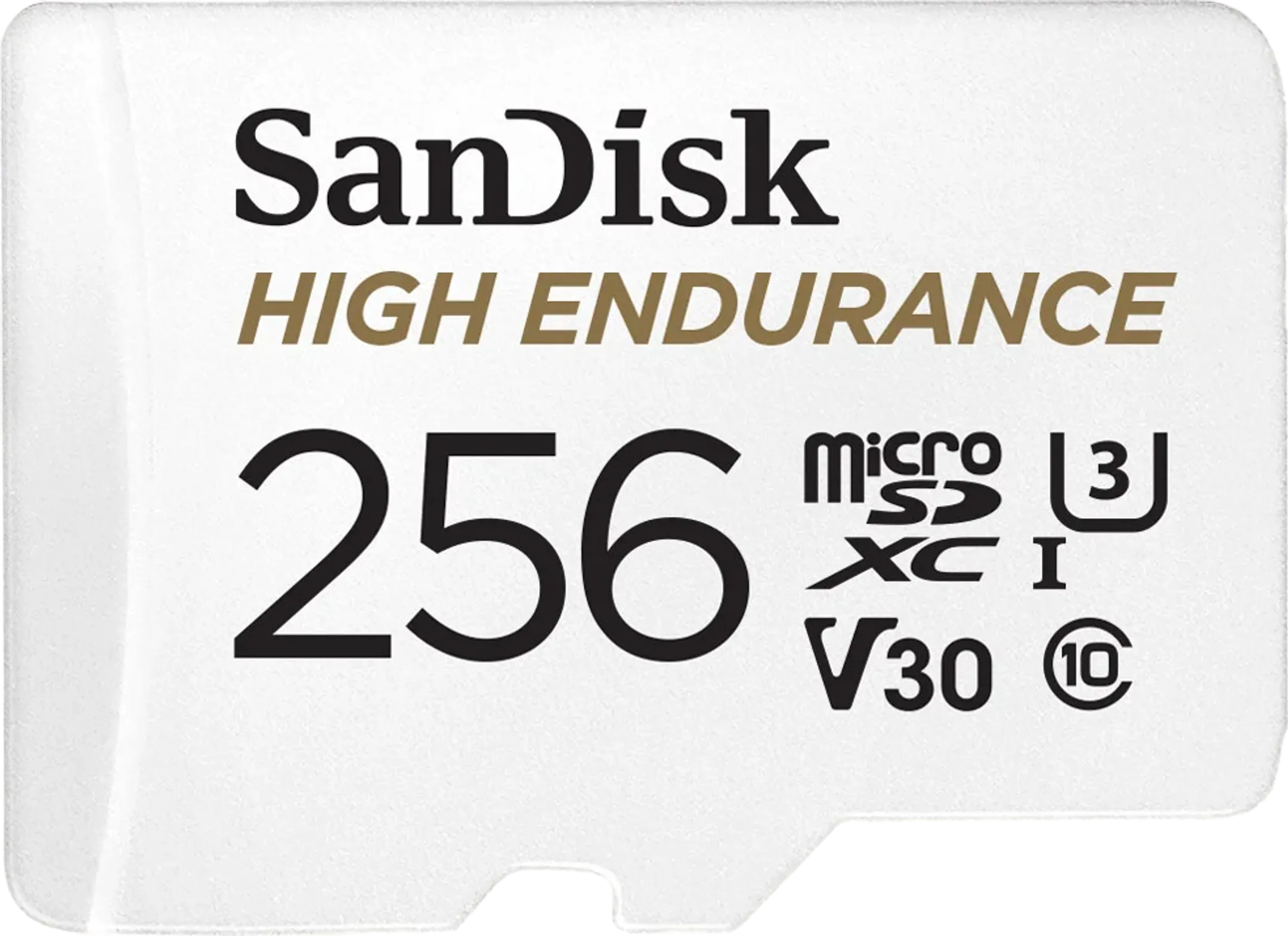 High Endurance micro SDXC - 256 GB