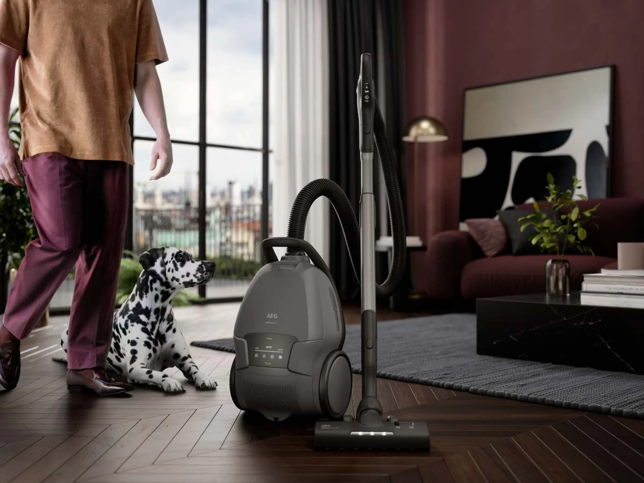 AEG Aspirateur avec sac AB81A2DG image