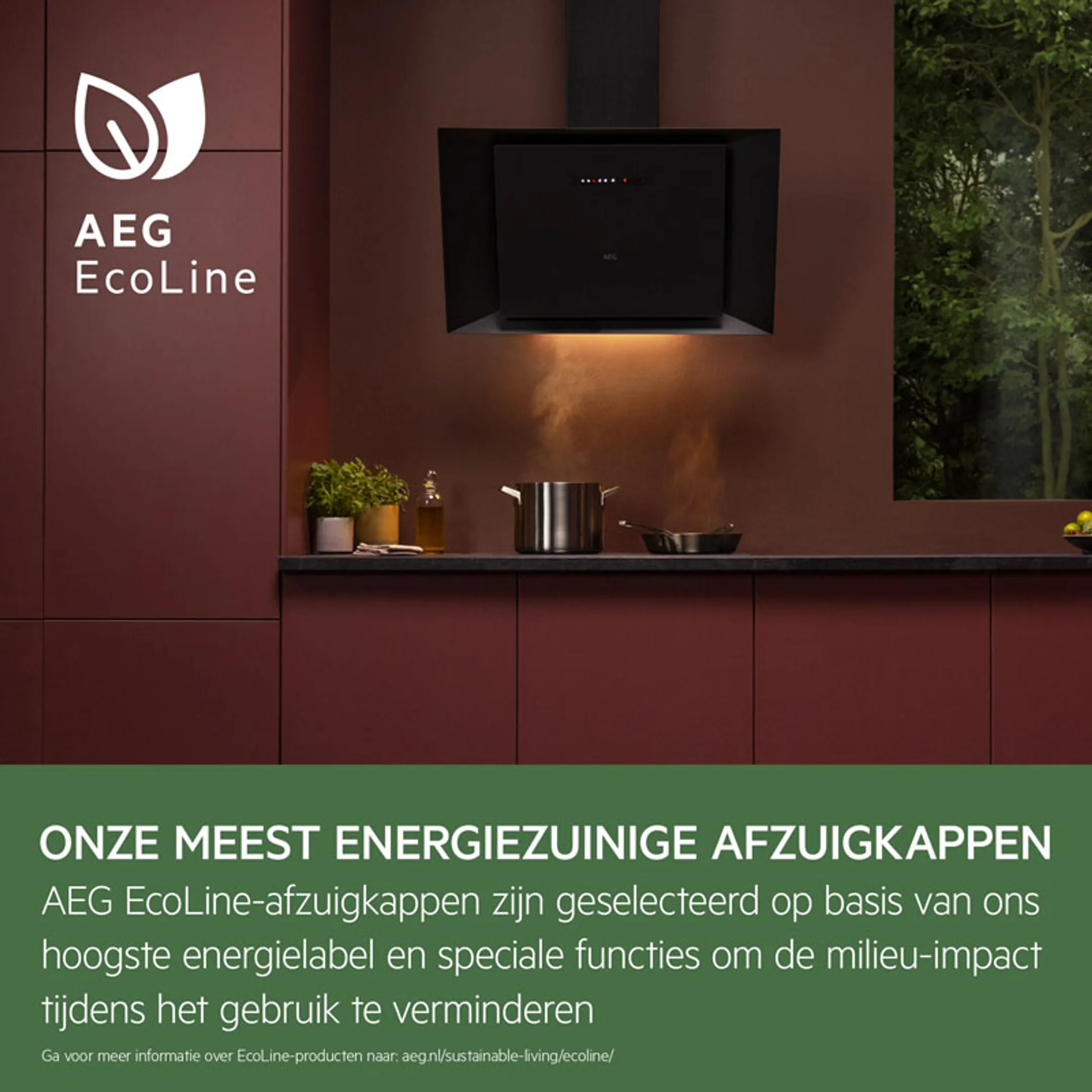 AEG Wanddampkap DVE5961HB image