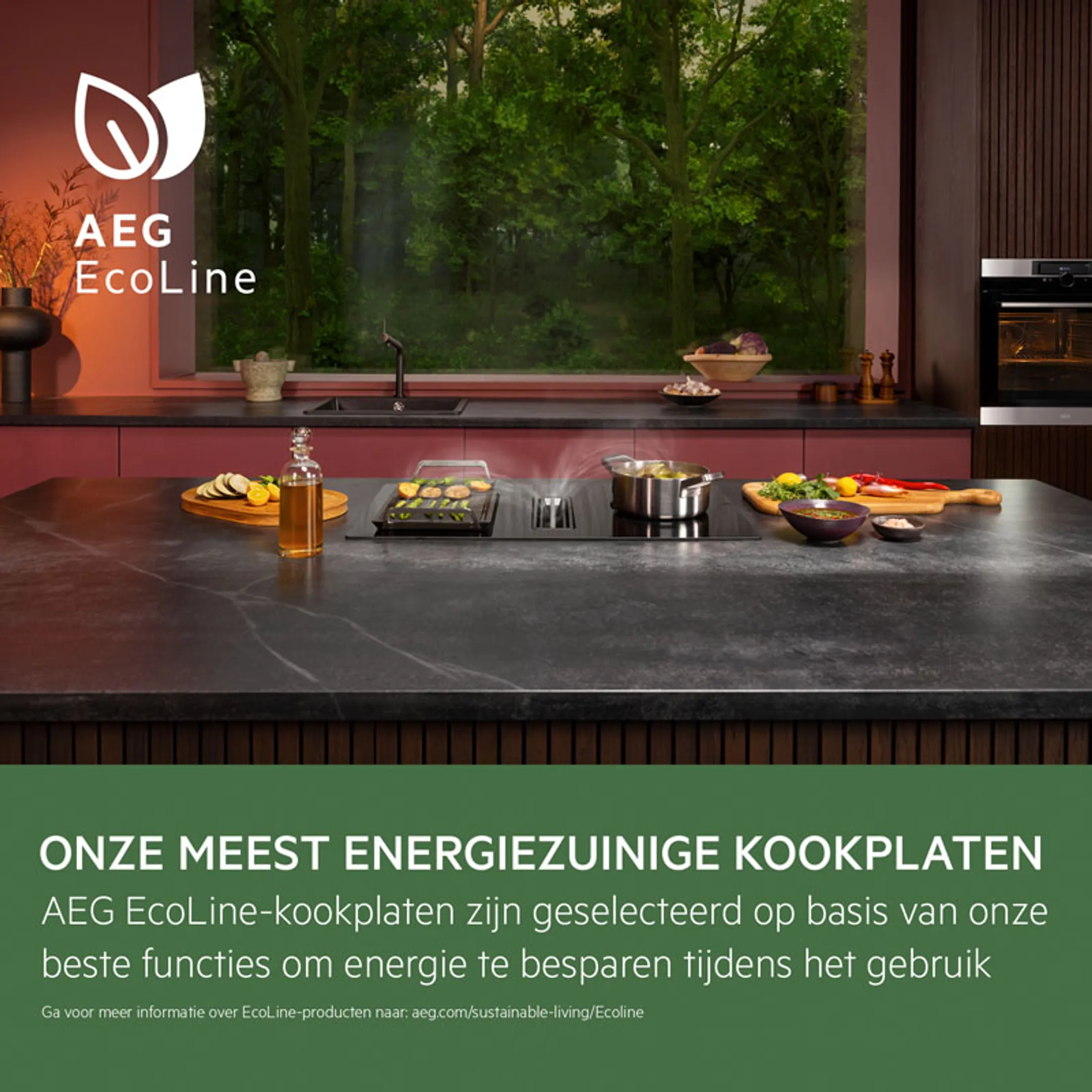 AEG Kookplaat met dampkap CCE84751FB image