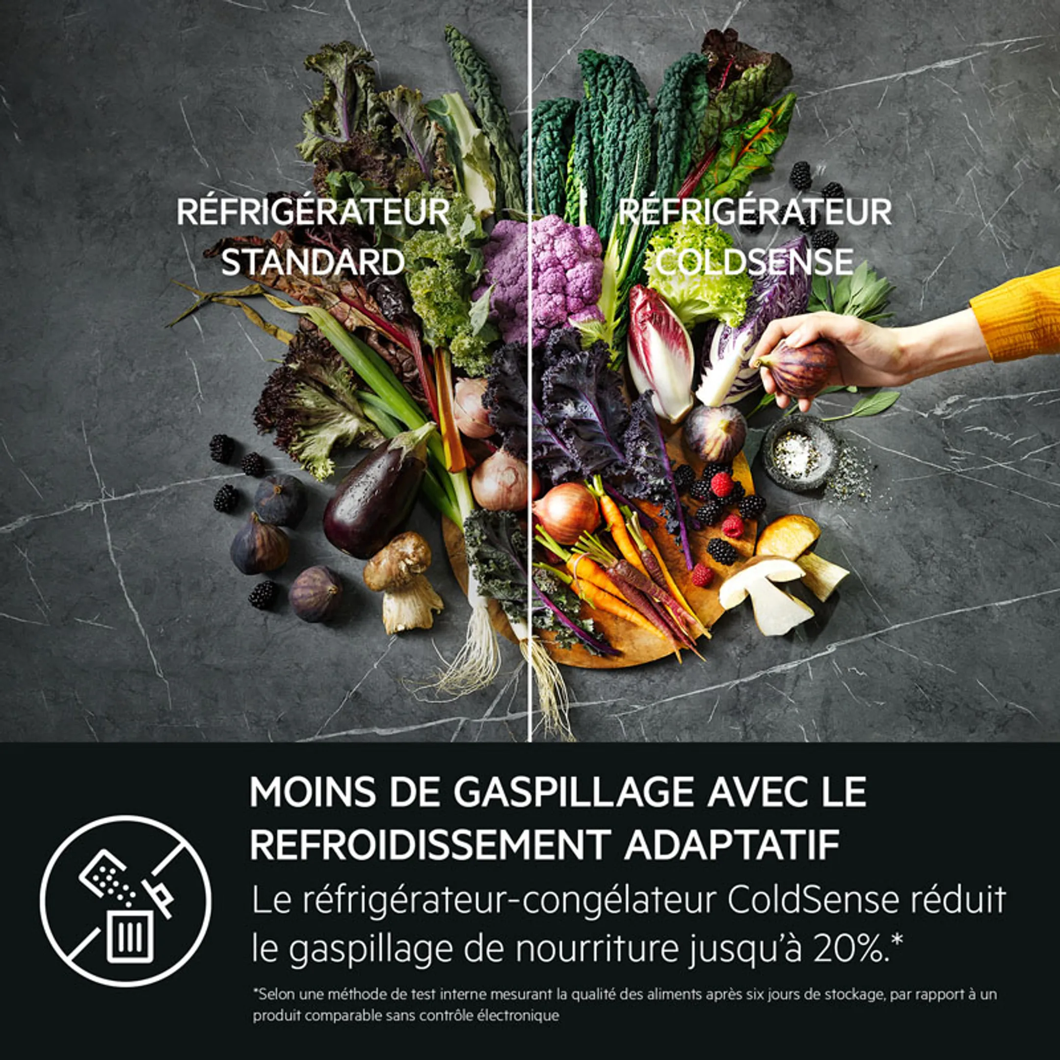 AEG  Combi frigo congélateur TSC5S181DF image