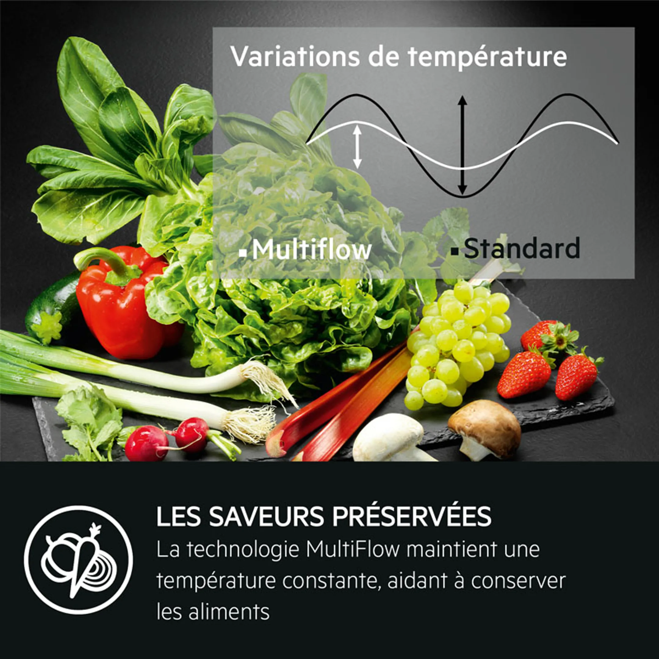 AEG Combi frigo congélateur TSC8M181BC image