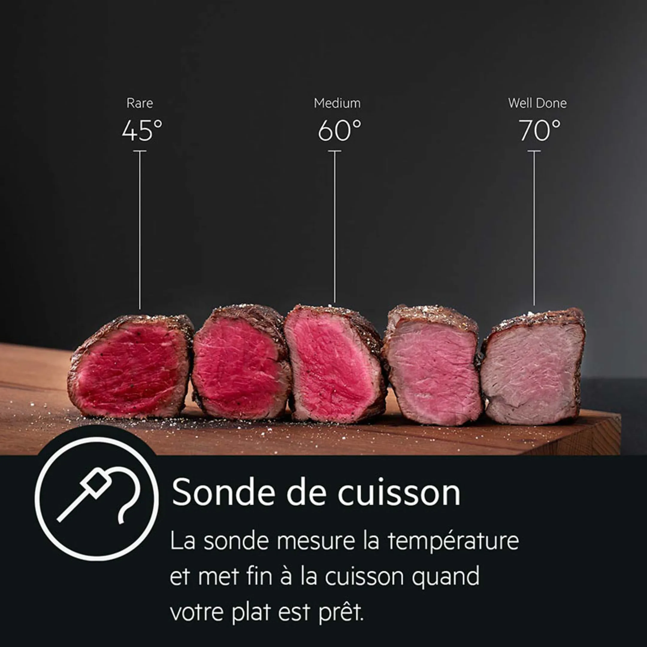 AEG Four encastrable BPE742080M AssistedCooking image