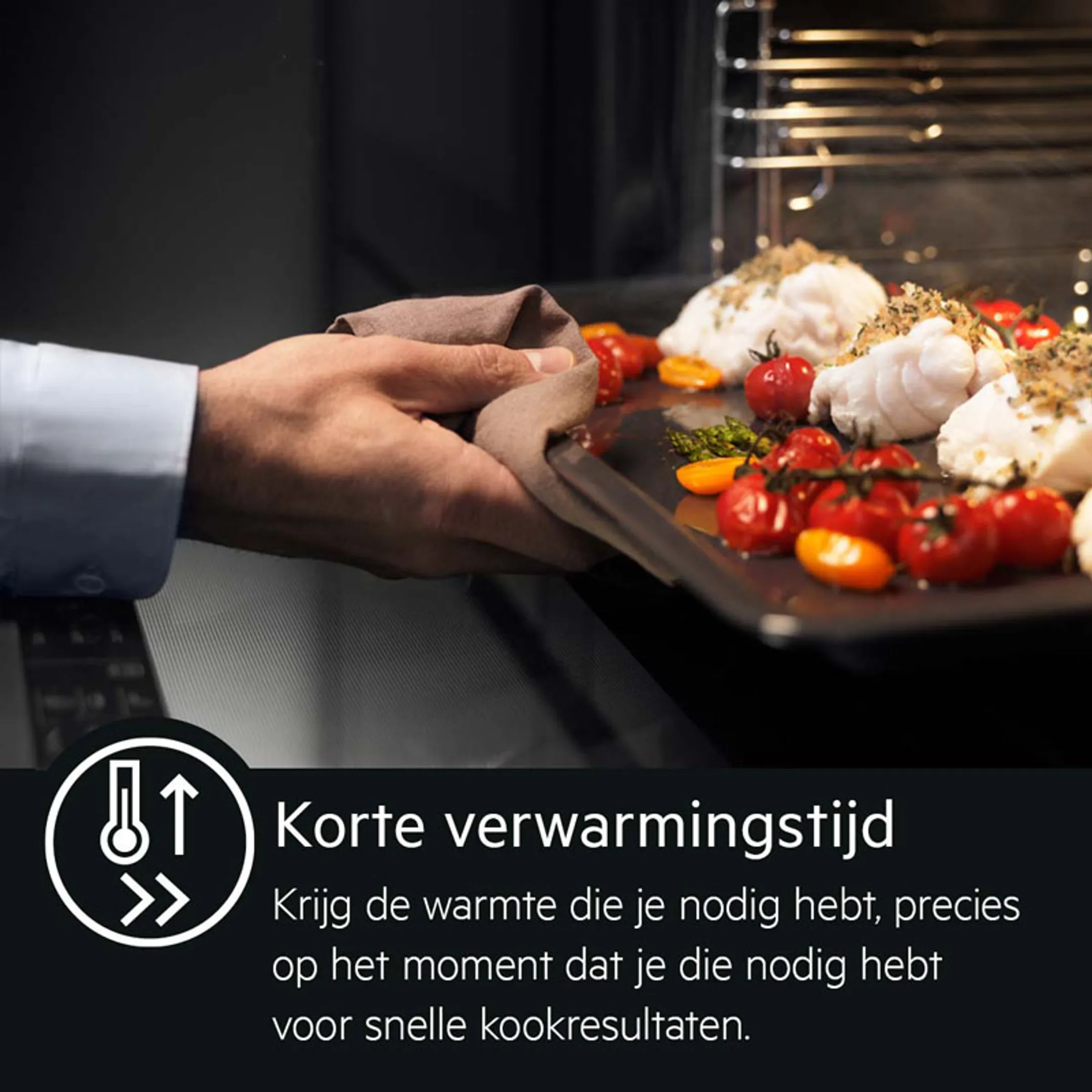 AEG Inbouw oven BPE742080M AssistedCooking image