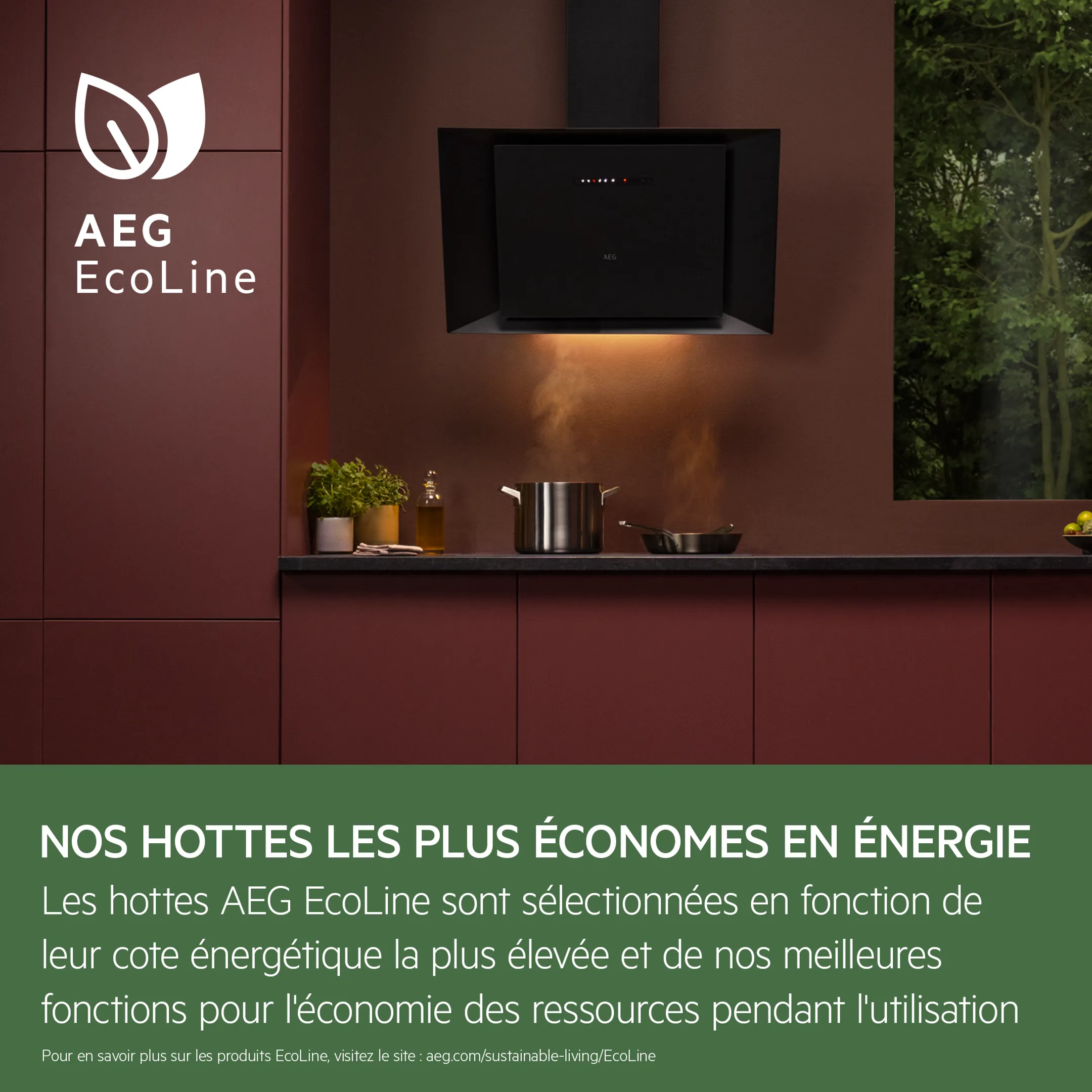 AEG Hotte aspirante DGE5661HM Hob2Hood image