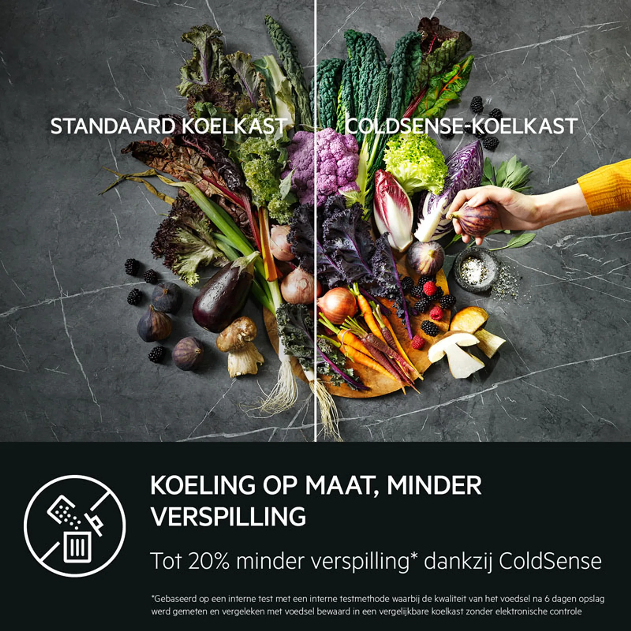 AEG Koelkast met diepvries RDB428E1AW image