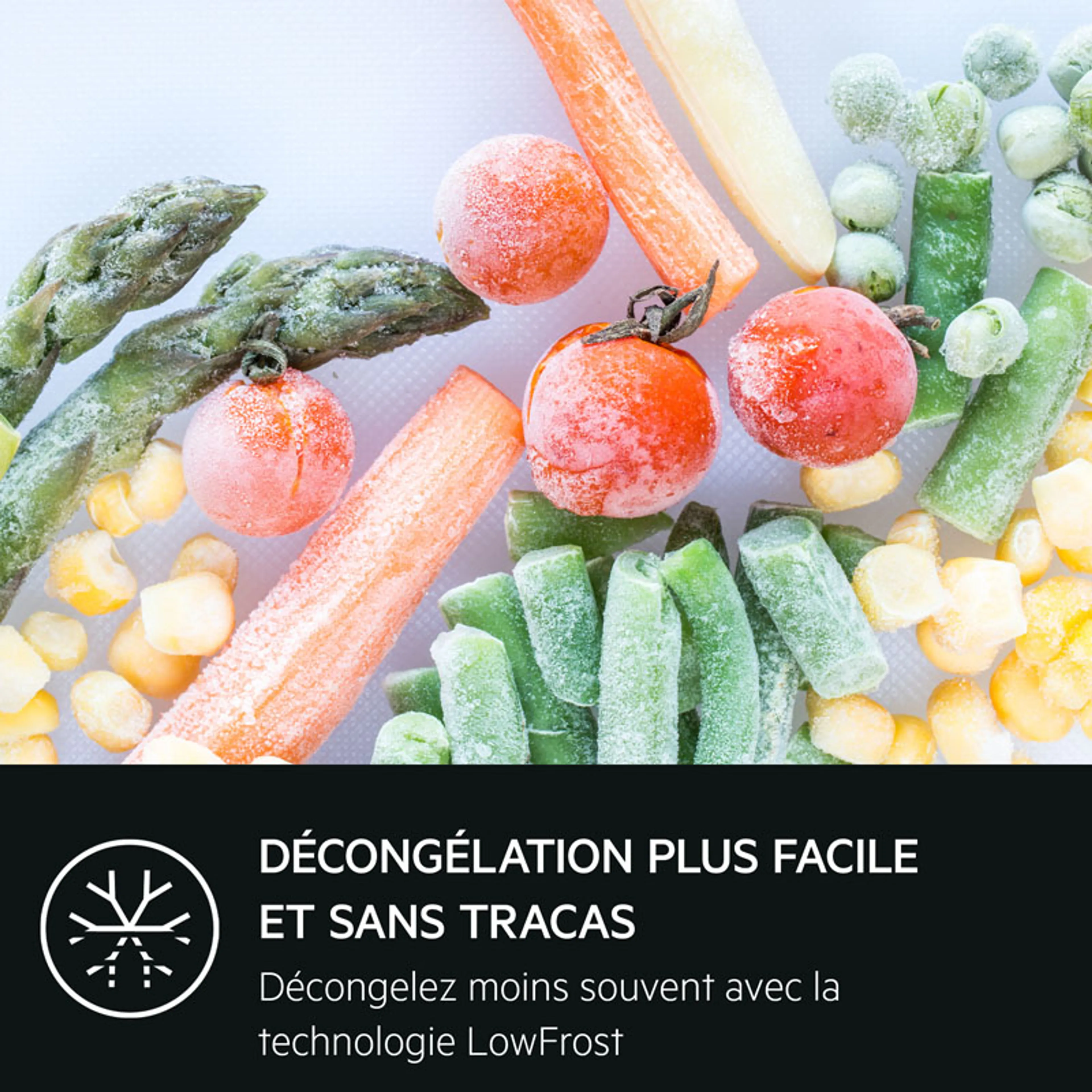 AEG Combi frigo congélateur RDB428E1AW image