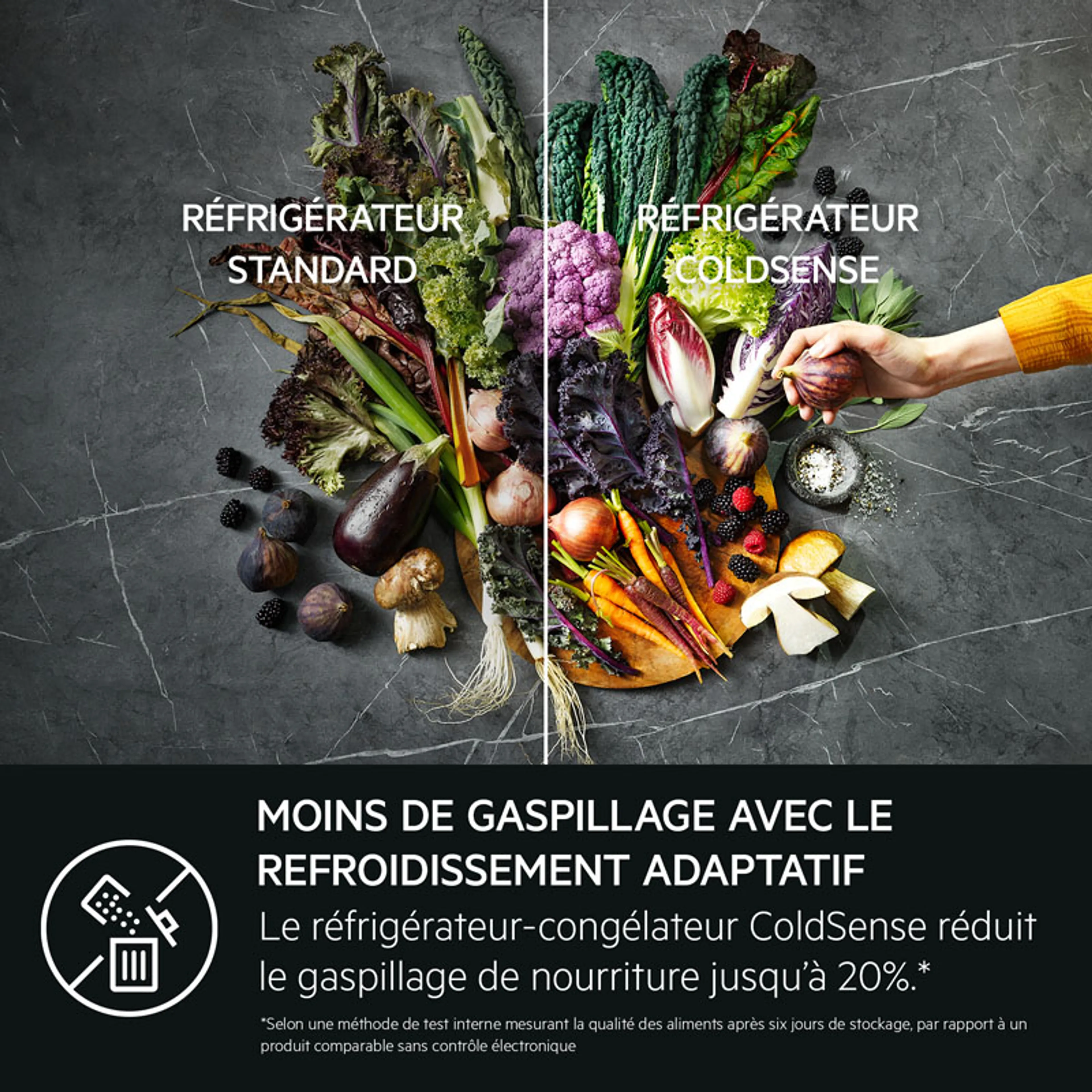 AEG Combi frigo congélateur RDB428E1AW image