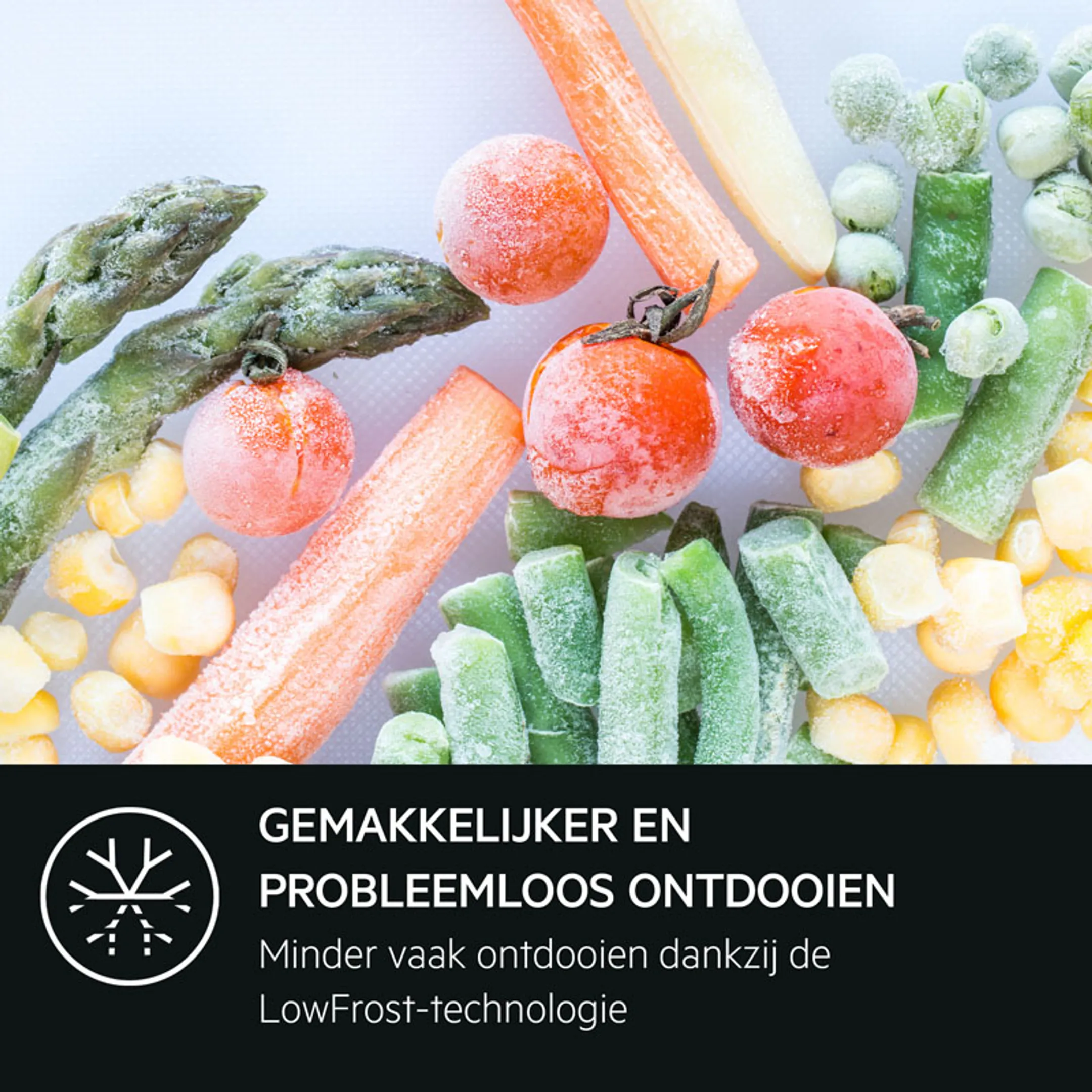 AEG Koelkast met diepvries RDB428E1AW image