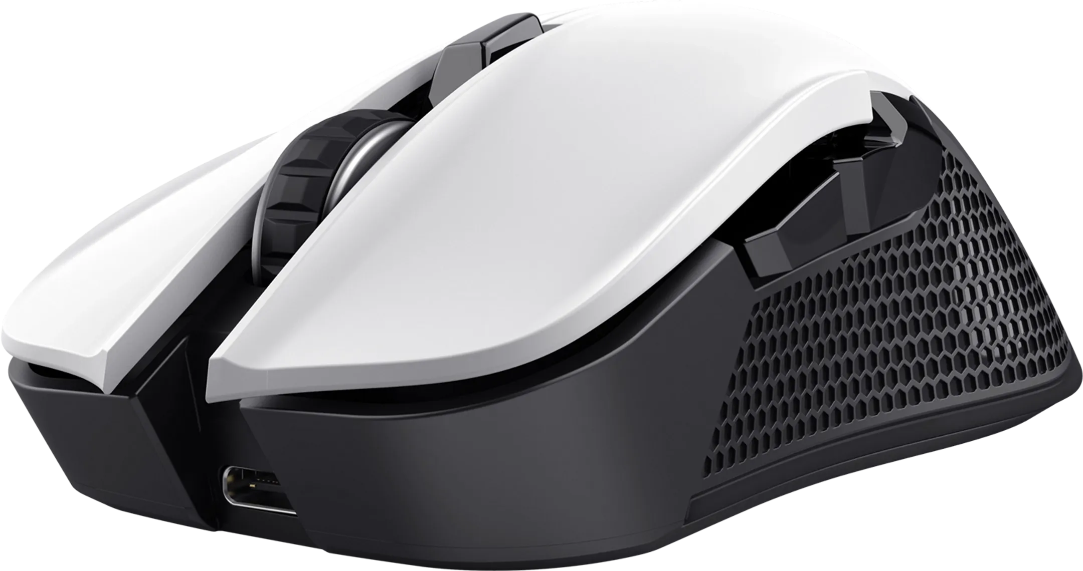 GXT 923 YBAR - Wit