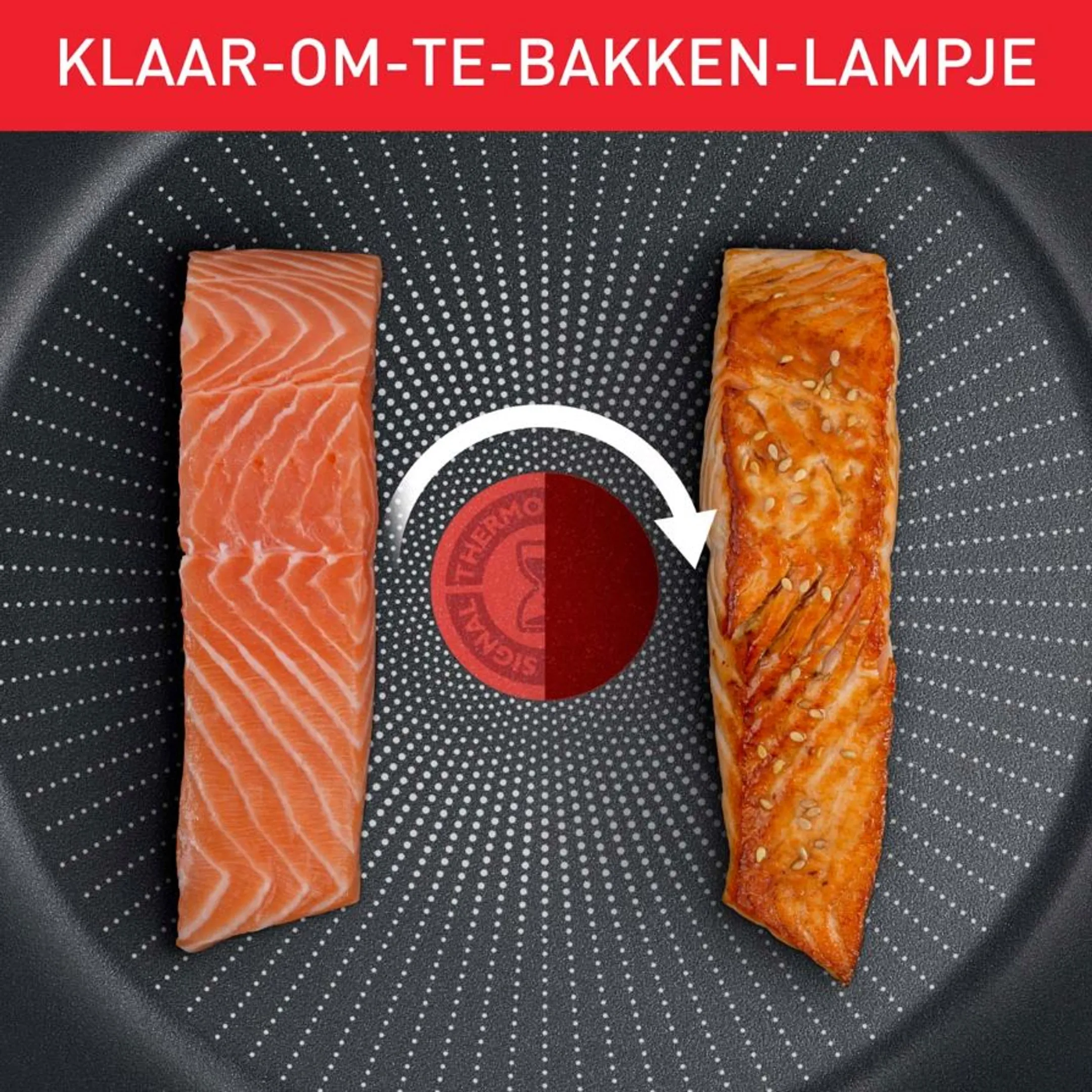 Tefal Recy'Cook Braadpan Ø 26 cm image
