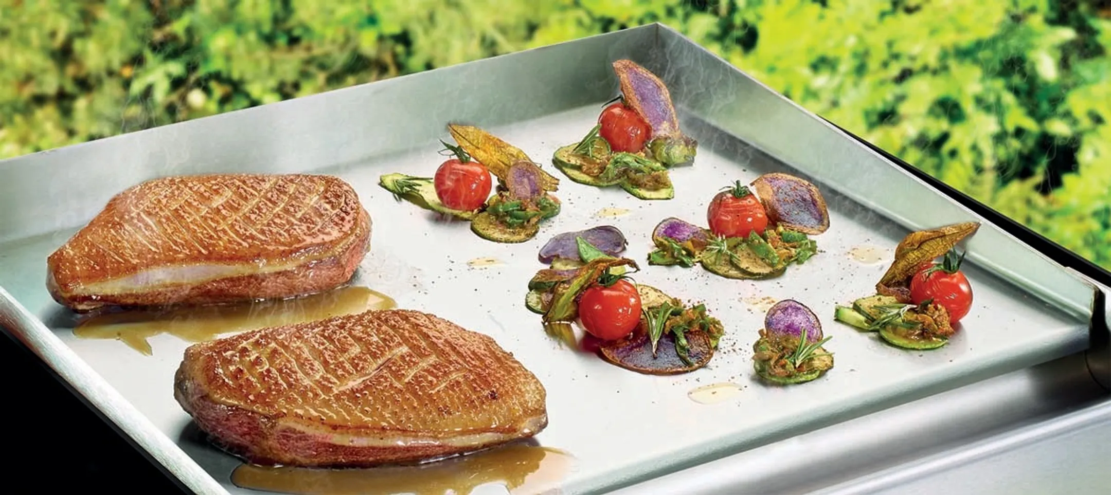 Lagrange Plancha Pro image