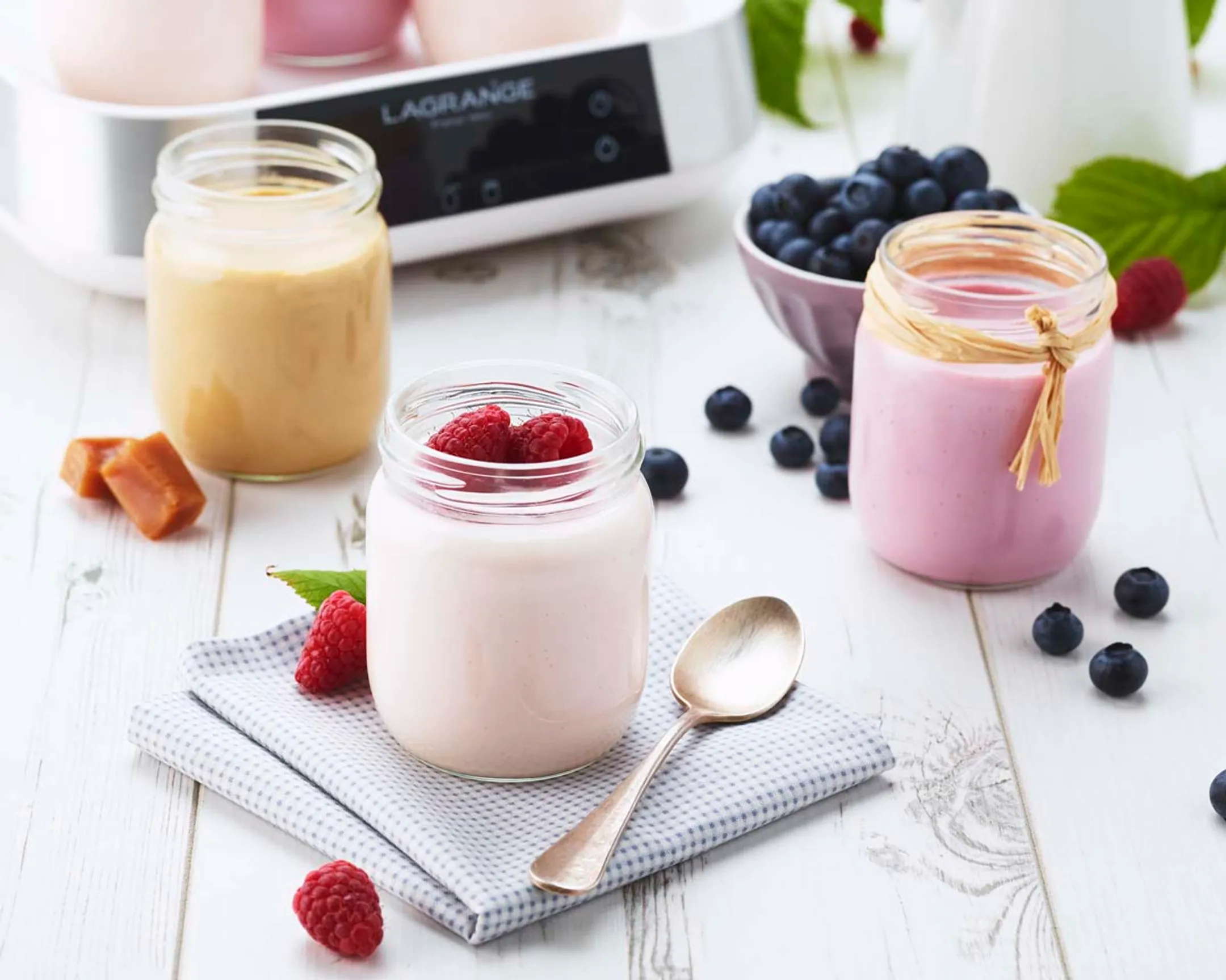 Lagrange Yaourtière - Ligne image