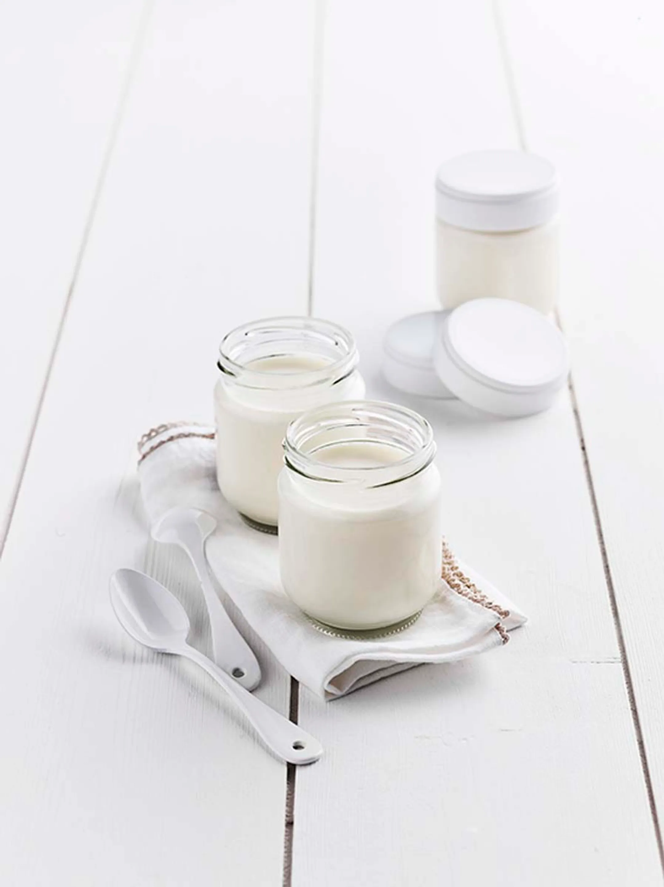 Lagrange Yaourtière-Fromagère - Ligne image