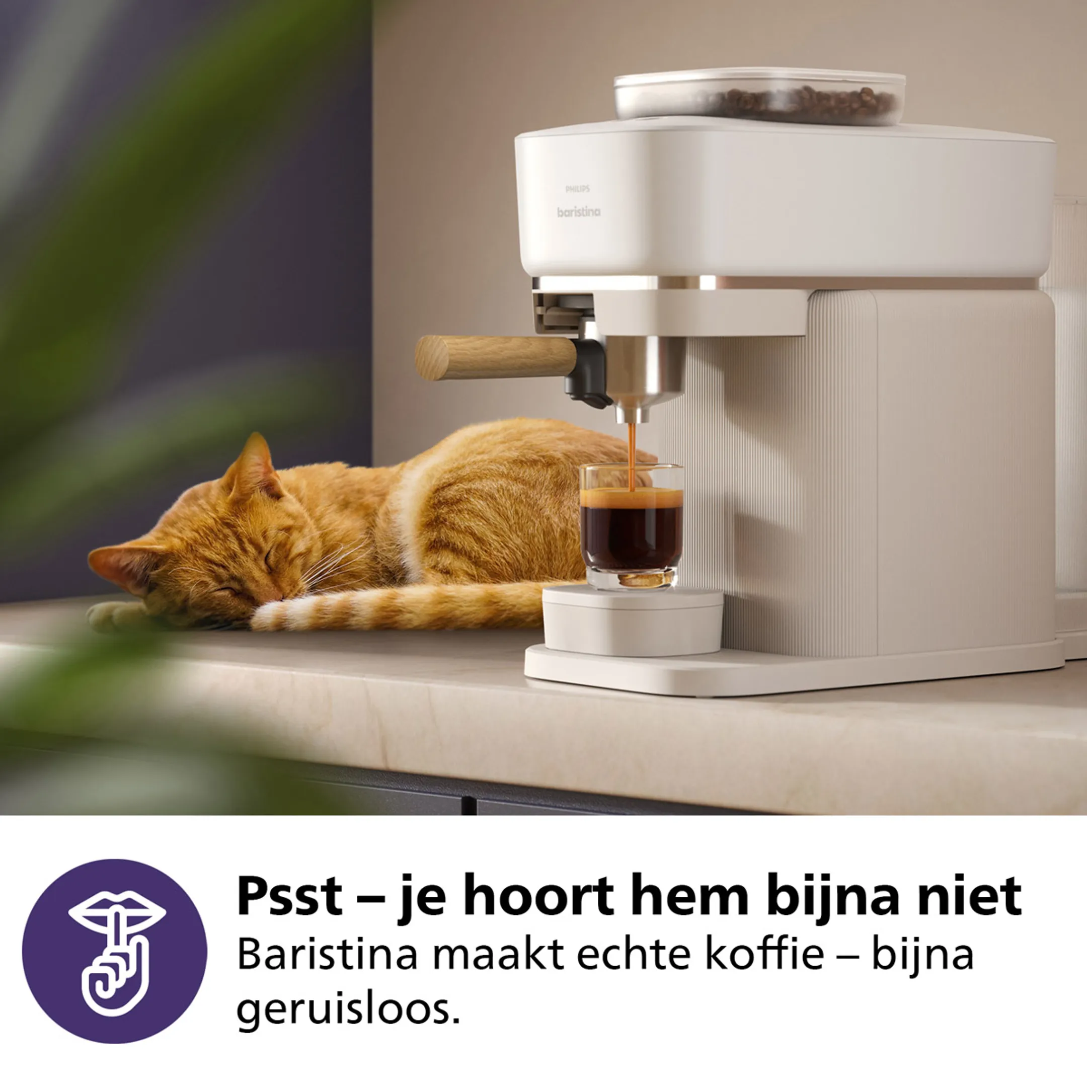 Philips Espressomachine Baristina BAR302/20 image