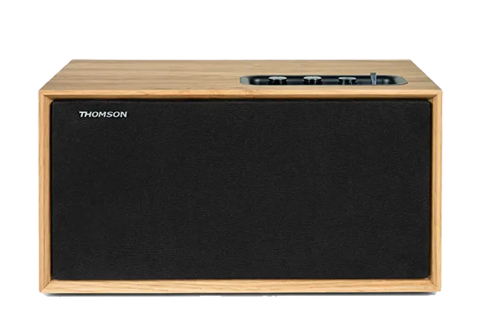 Radio et Enceinte de Chantier, Batterie Rechargeable,Bluetooth, Radio FM, AUX in, 30 Watts Thomson